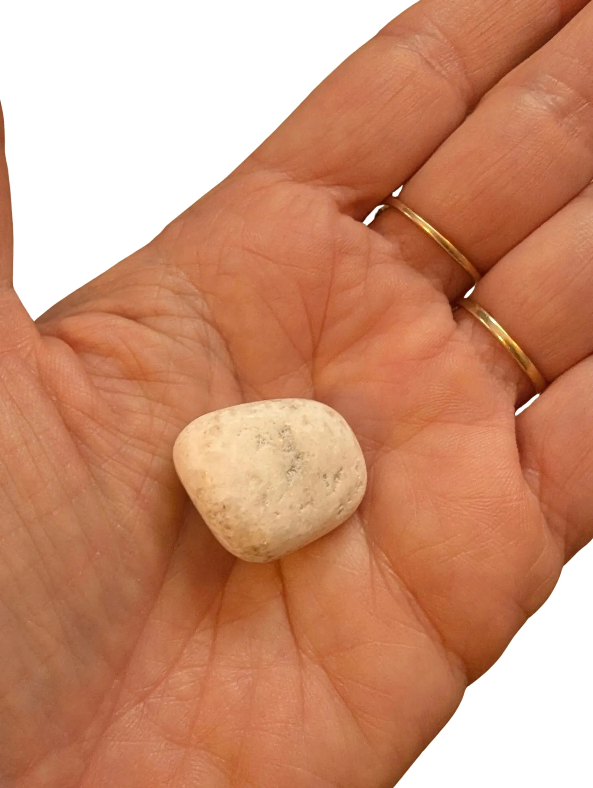 Studio-Project (89).jpg