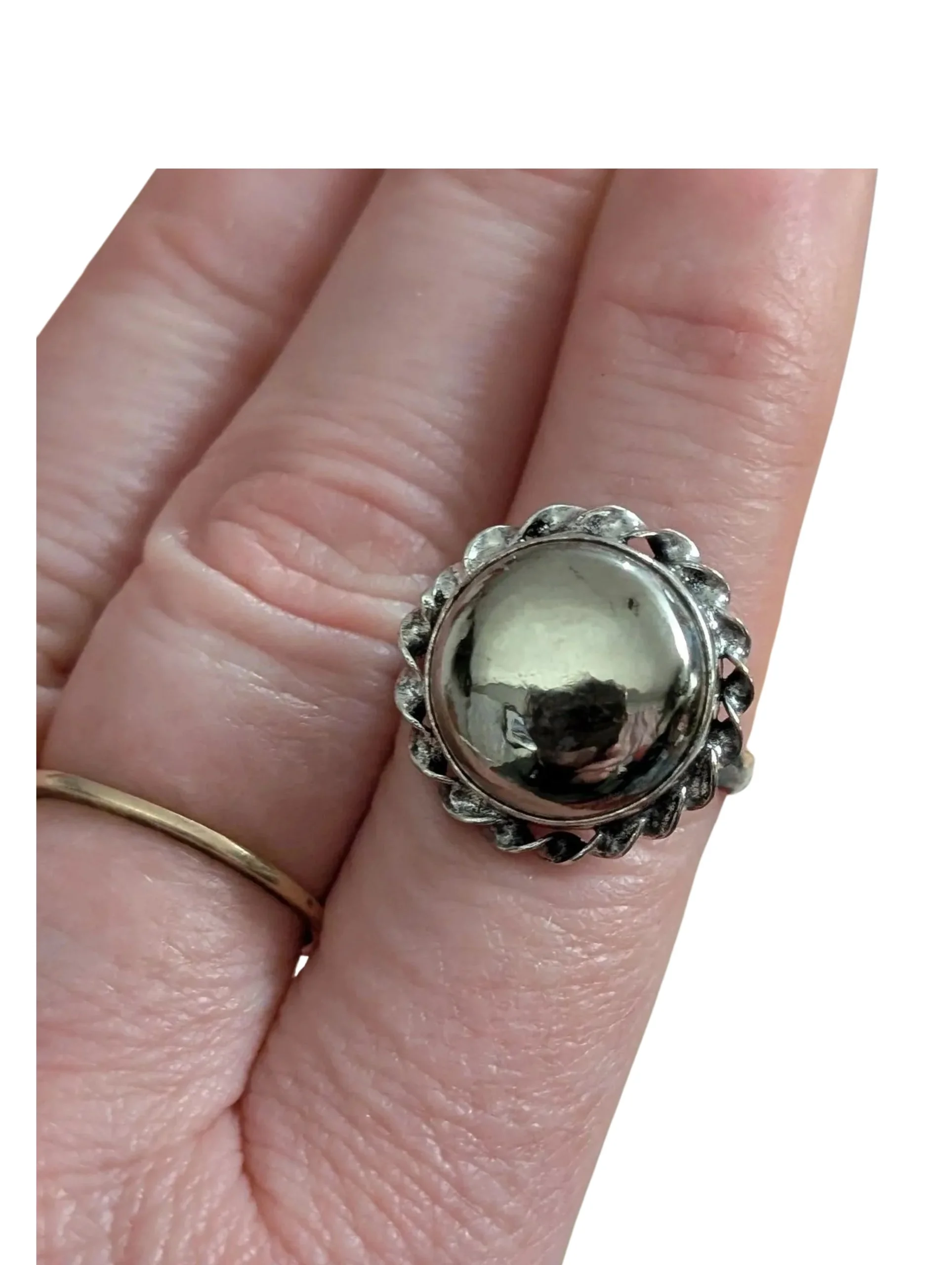 Studio-Project - 2026-02-01T071559.328.jpg (Copy)