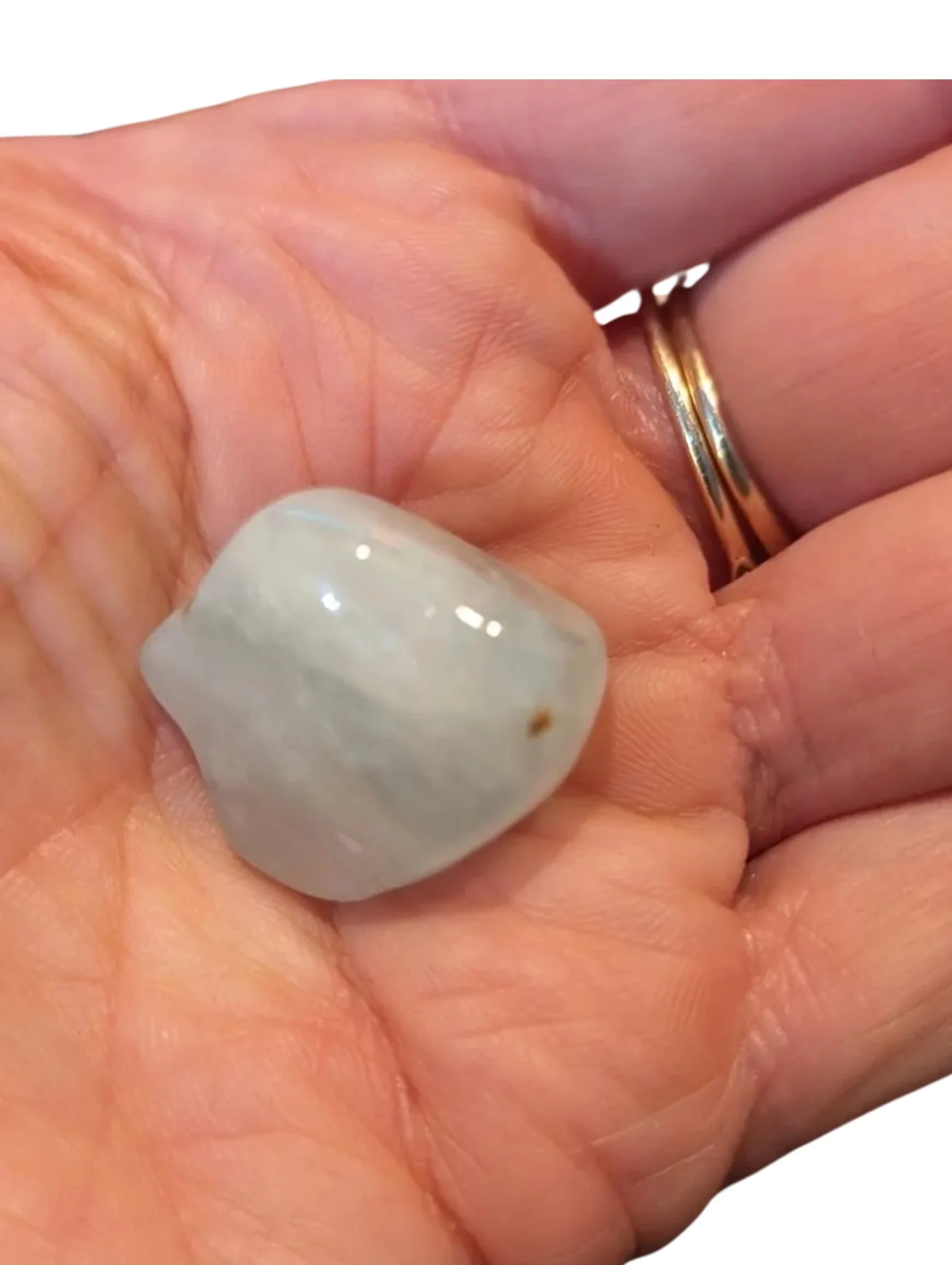 Studio-Project - 2025-12-07T124230.105.jpg