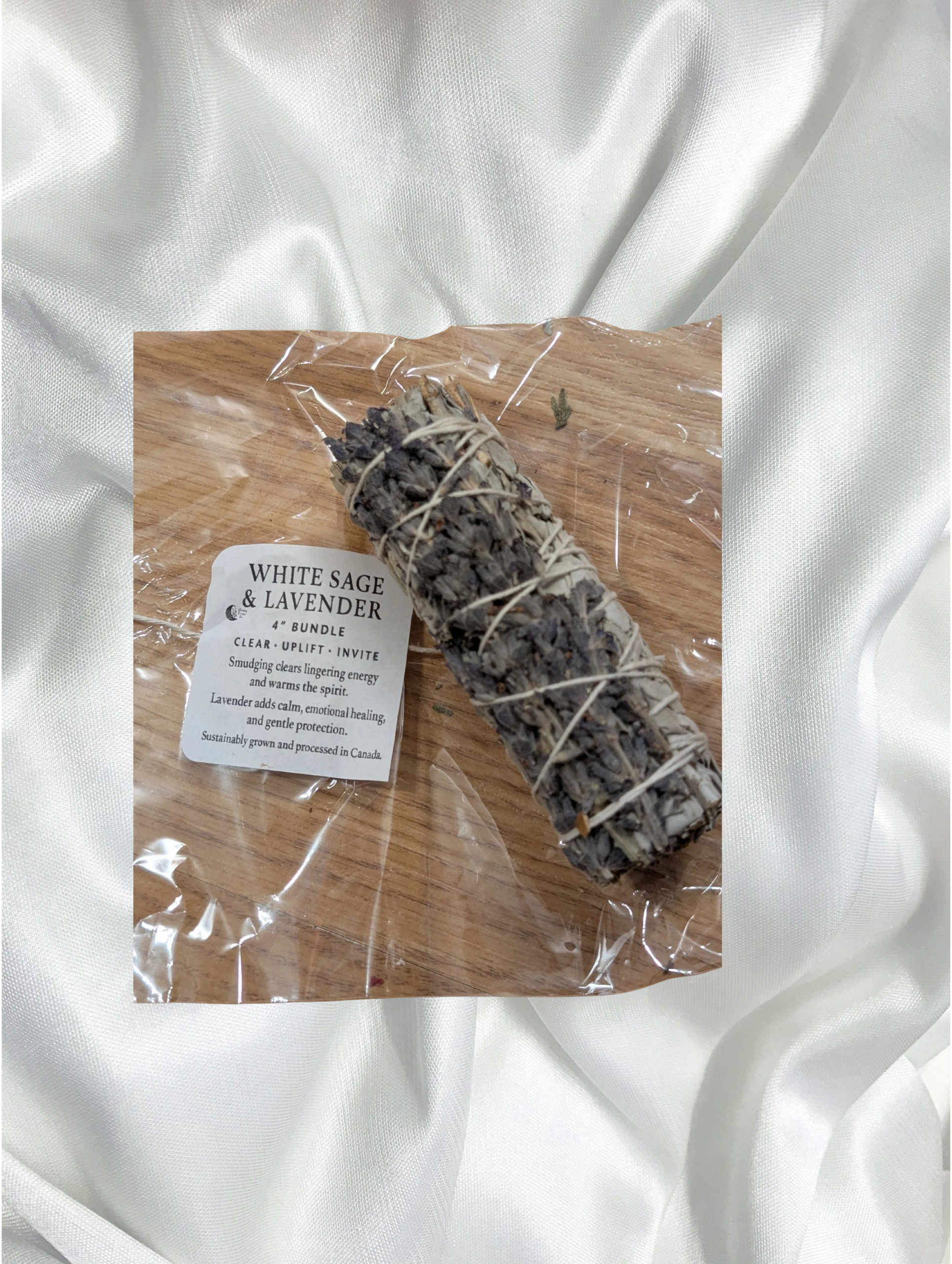 Content-Creator-Project (12).png