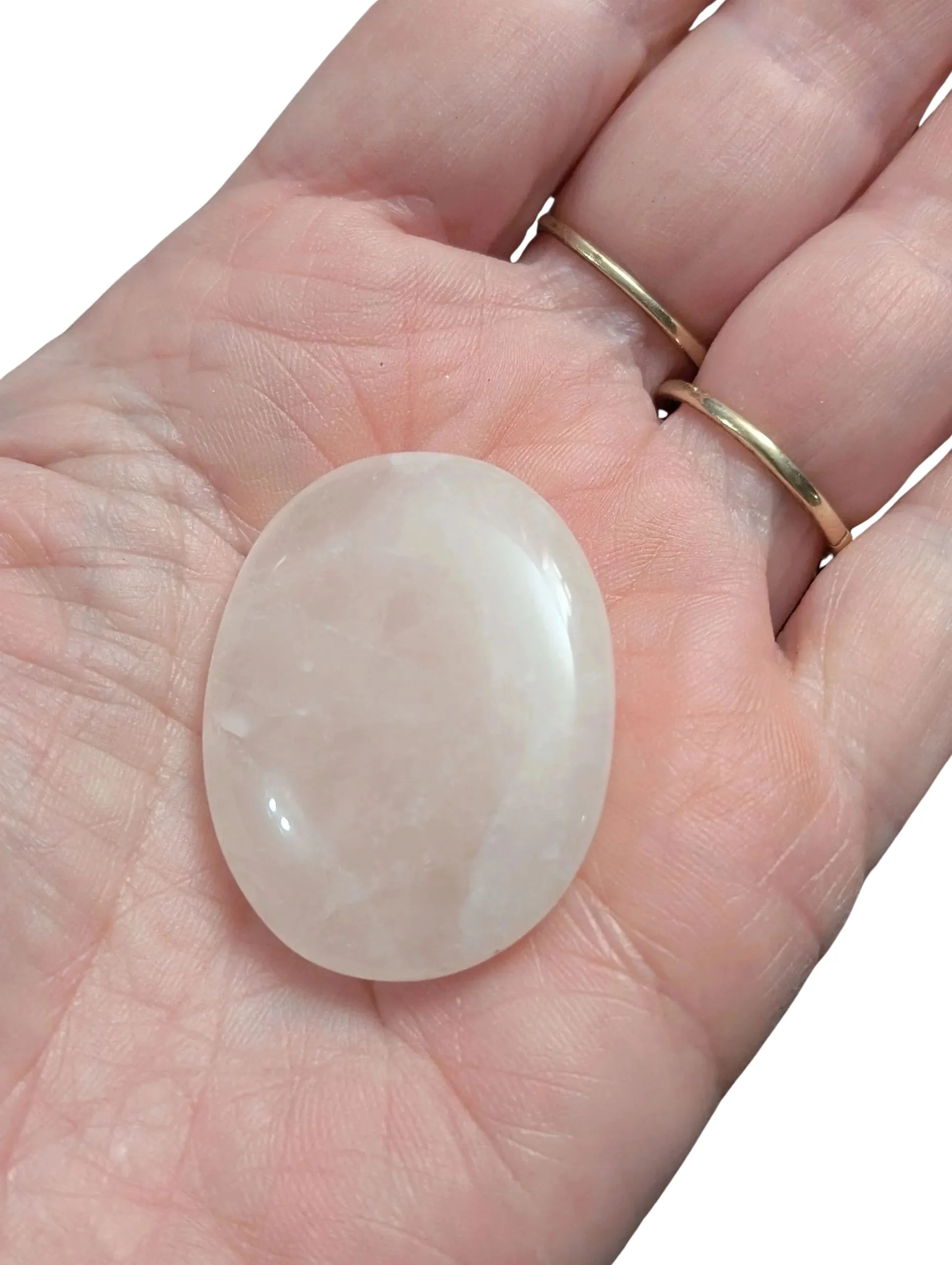 Studio-Project - 2026-01-13T072431.943.jpg