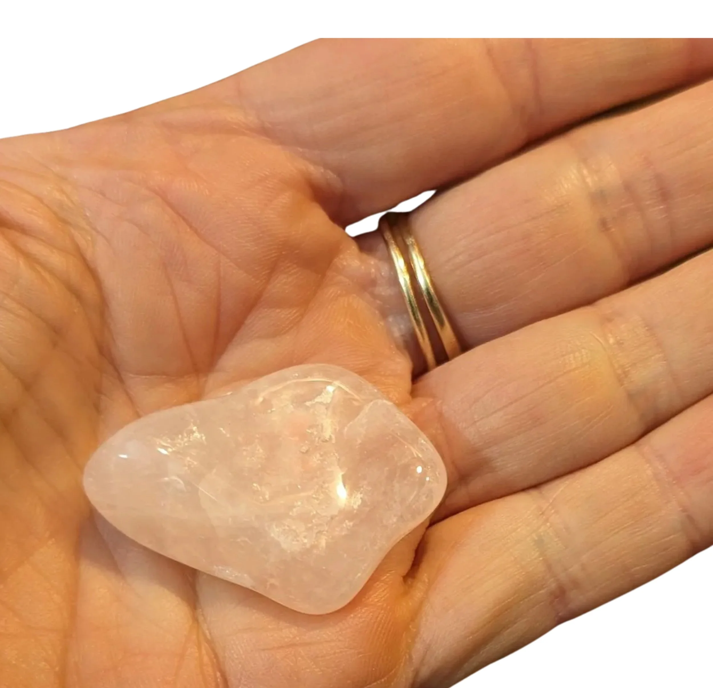 Studio-Project - 2025-12-10T112634.601.jpg