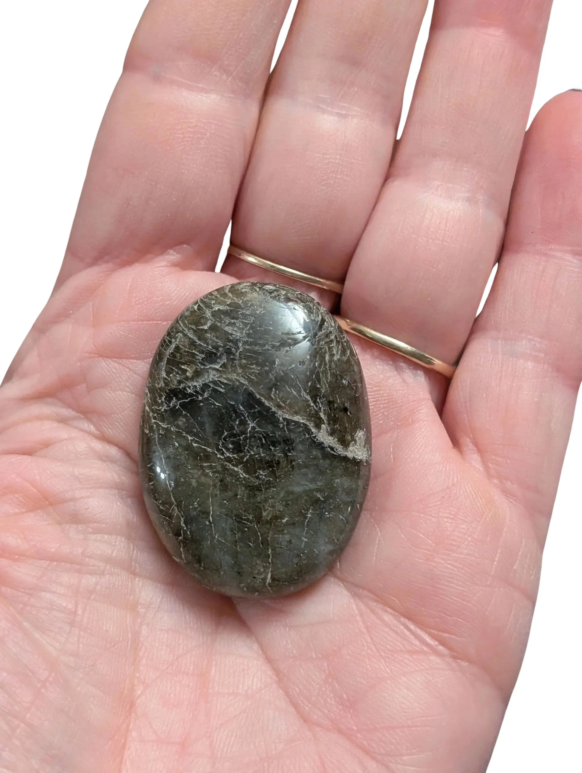 Studio-Project - 2026-01-13T070256.677.jpg