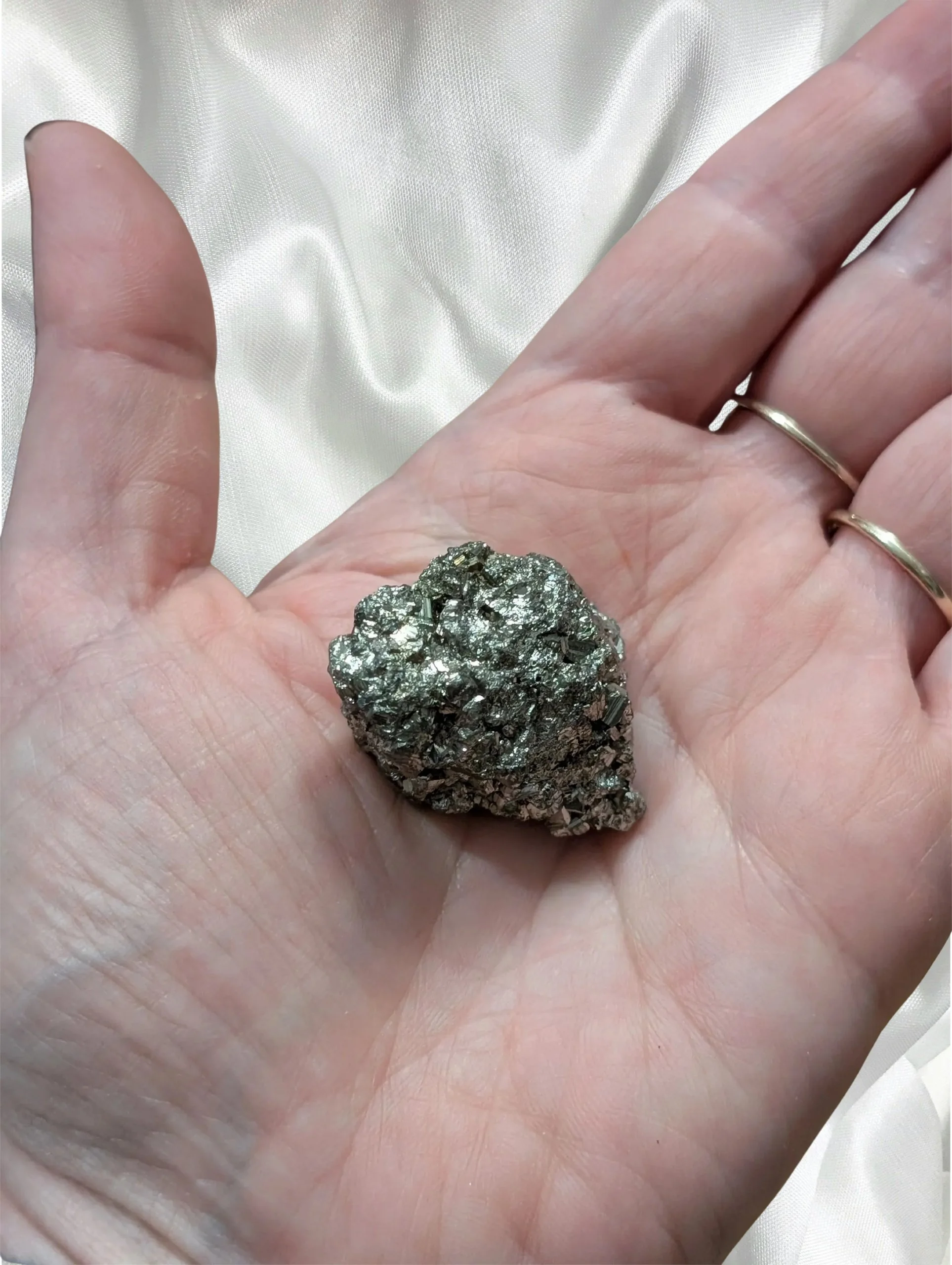 Studio-Project - 2026-02-18T143246.319.jpg