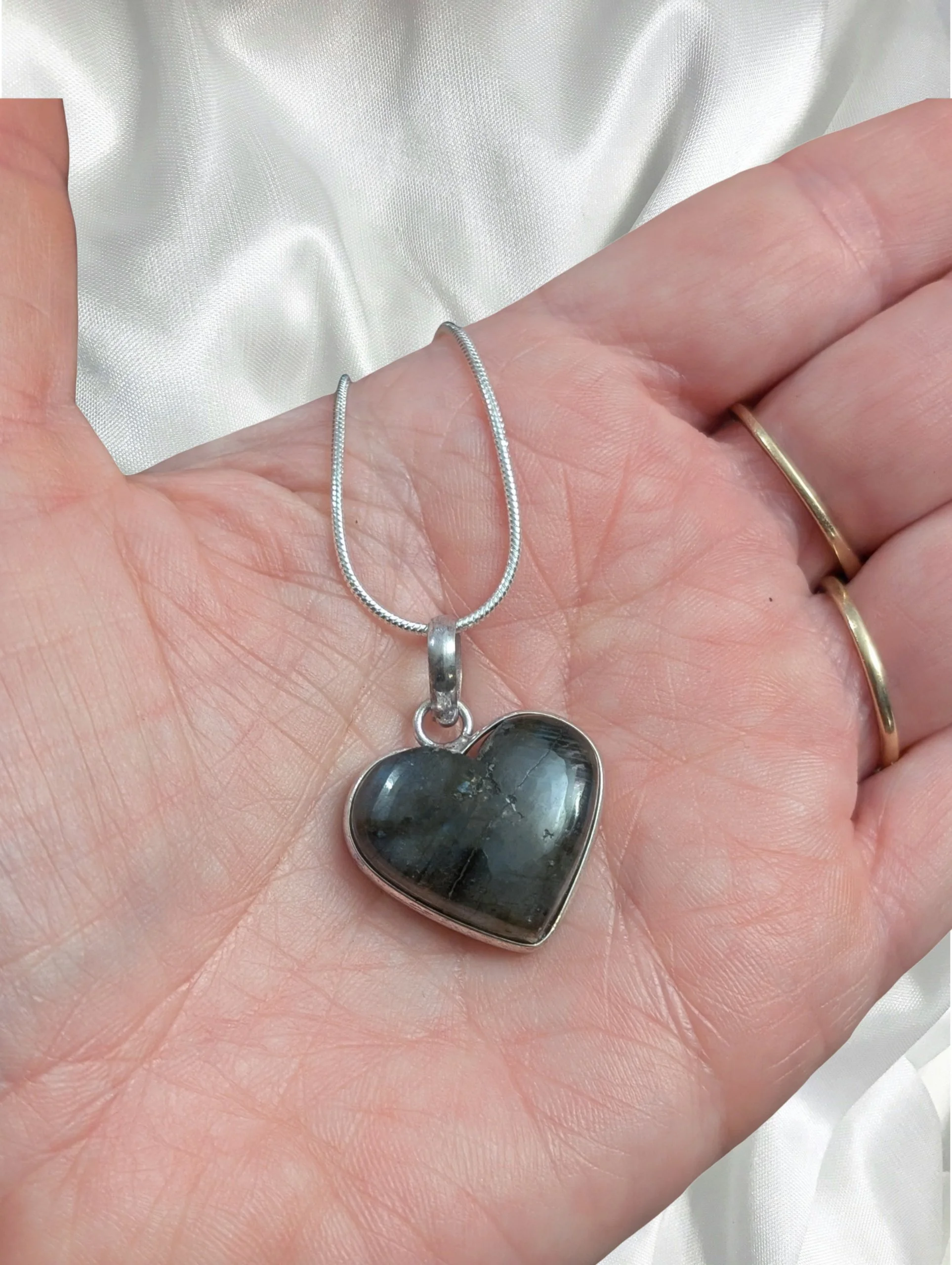 Studio-Project - 2026-02-19T135815.337.jpg