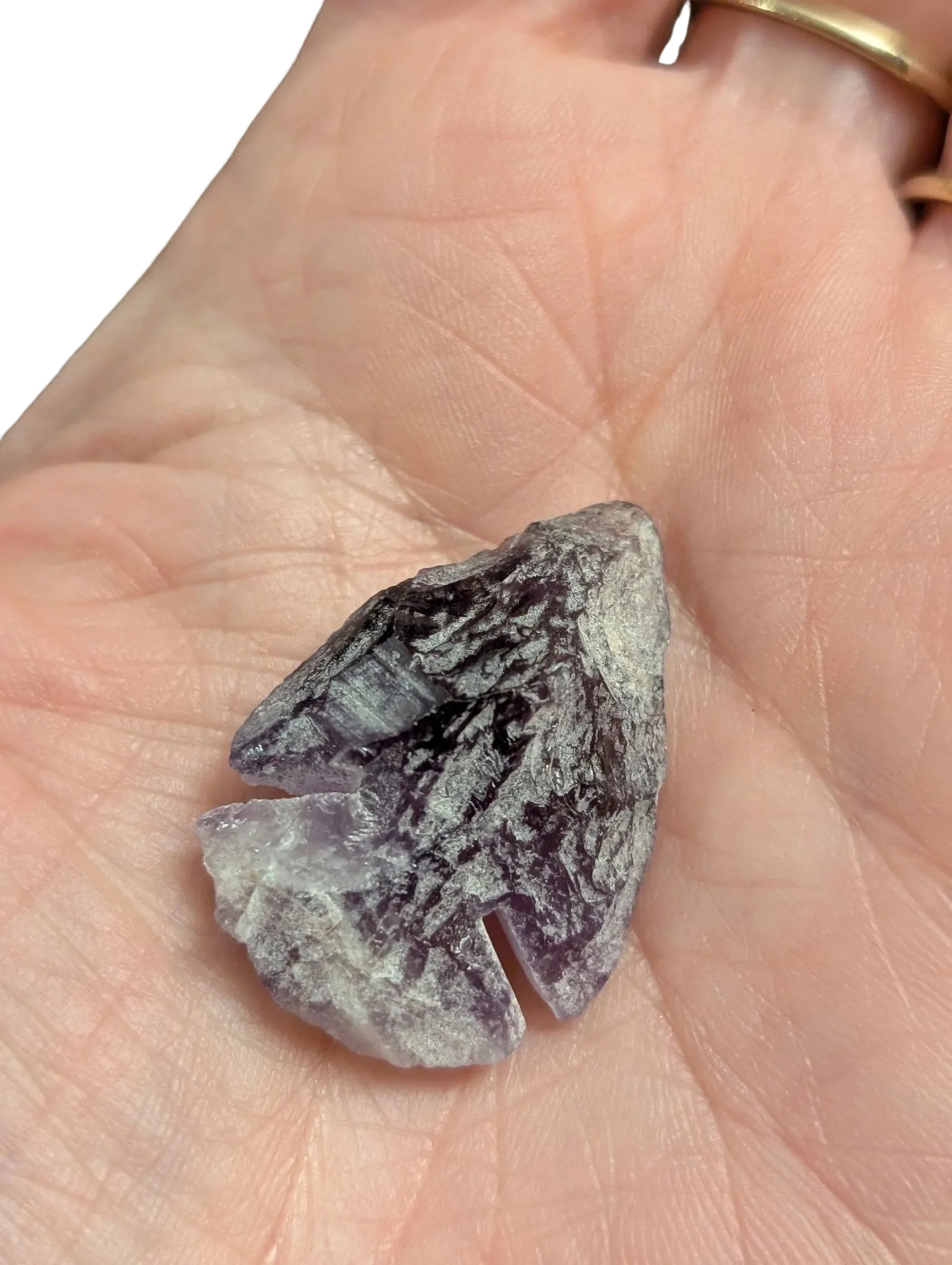 Studio-Project - 2026-01-13T061140.756.jpg