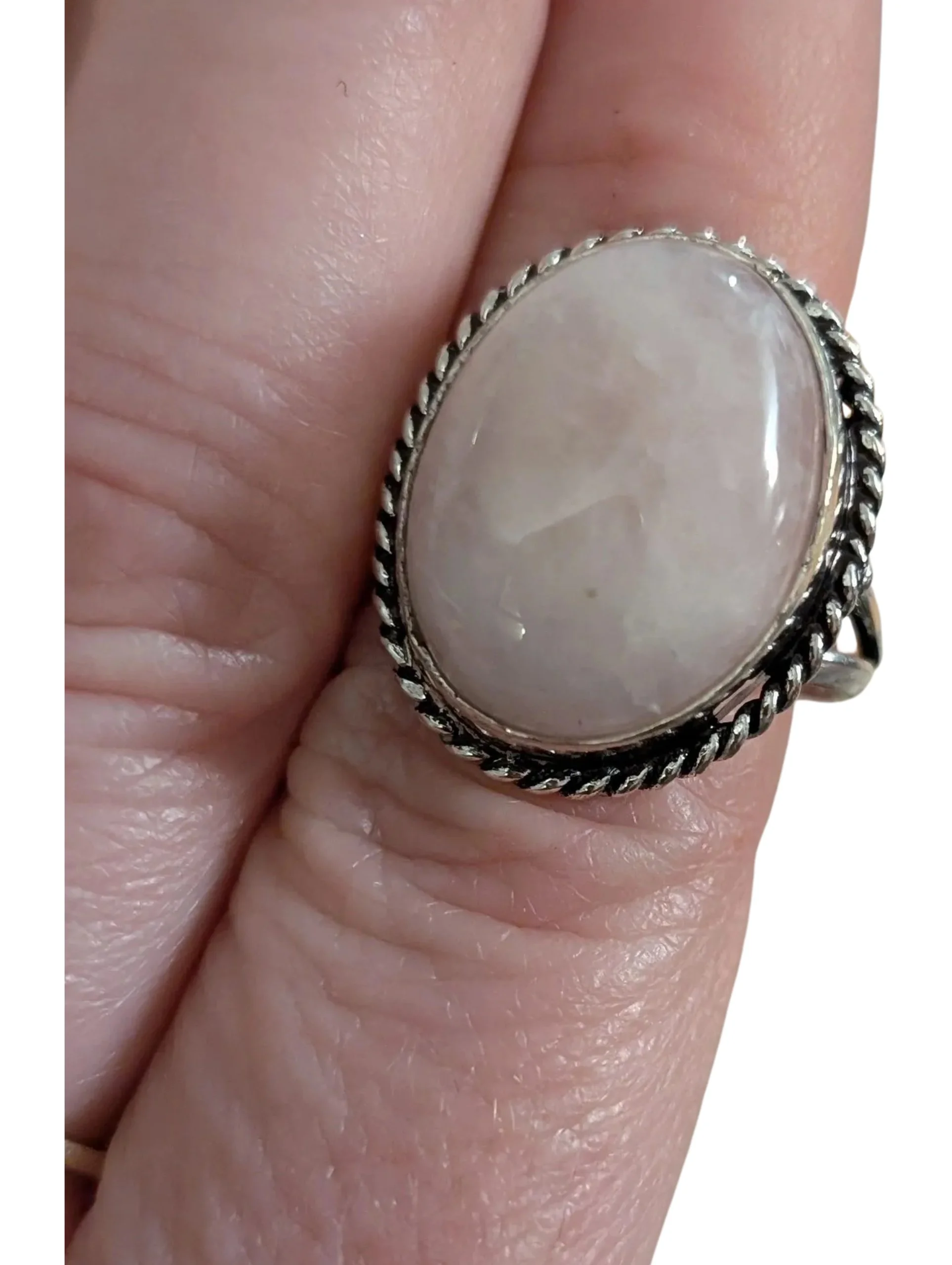 Studio-Project - 2026-02-01T090814.000.jpg