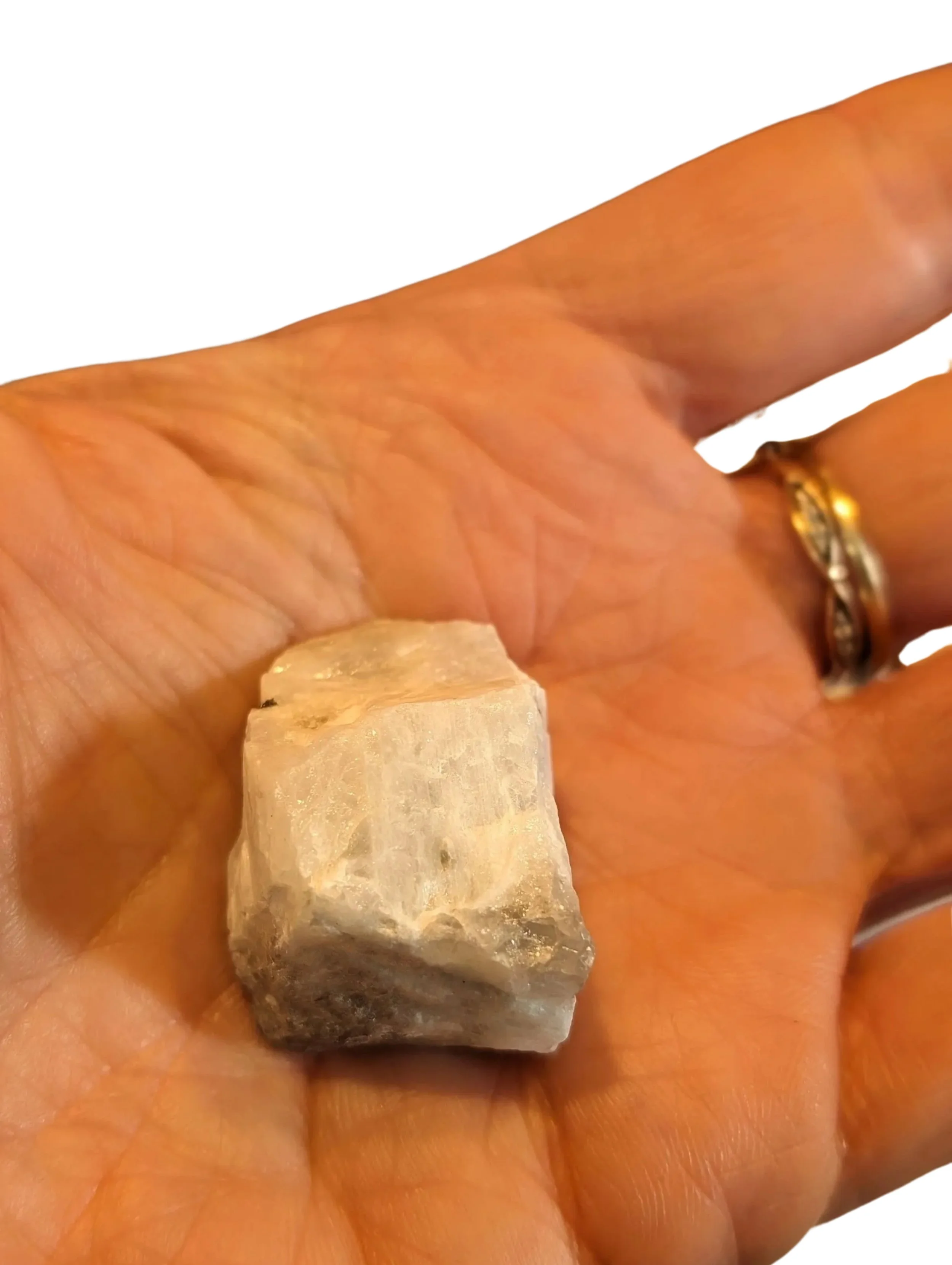 Studio-Project - 2025-12-10T104732.476.jpg