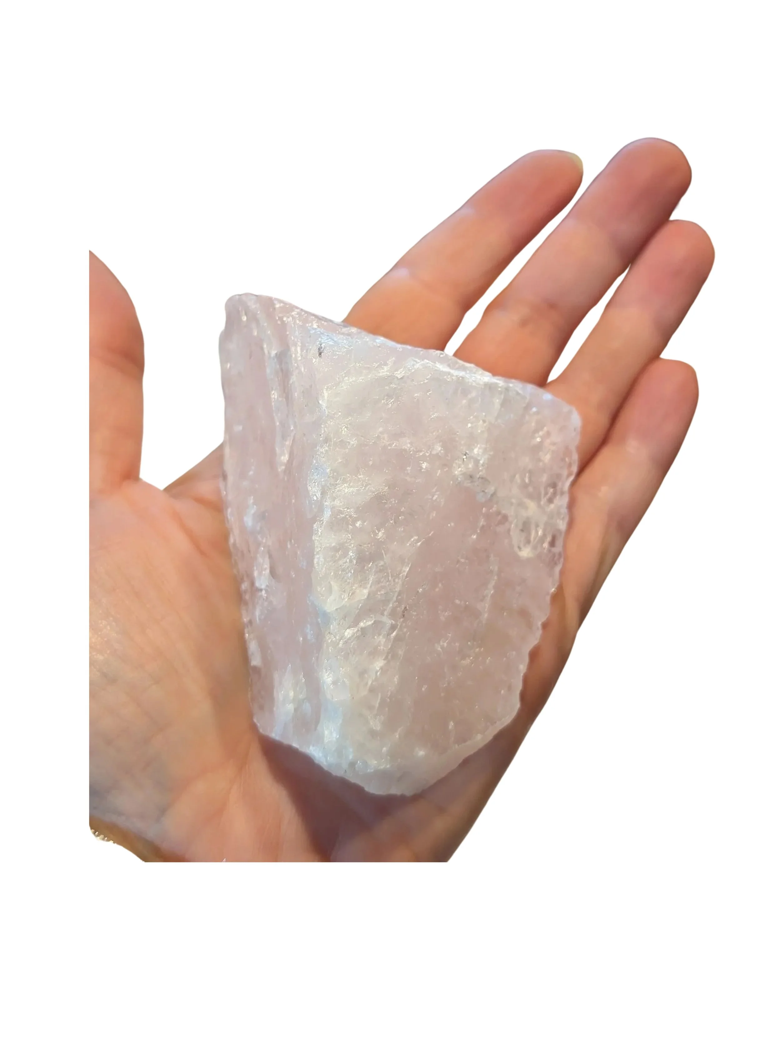 Studio-Project - 2026-01-06T081705.991.jpg