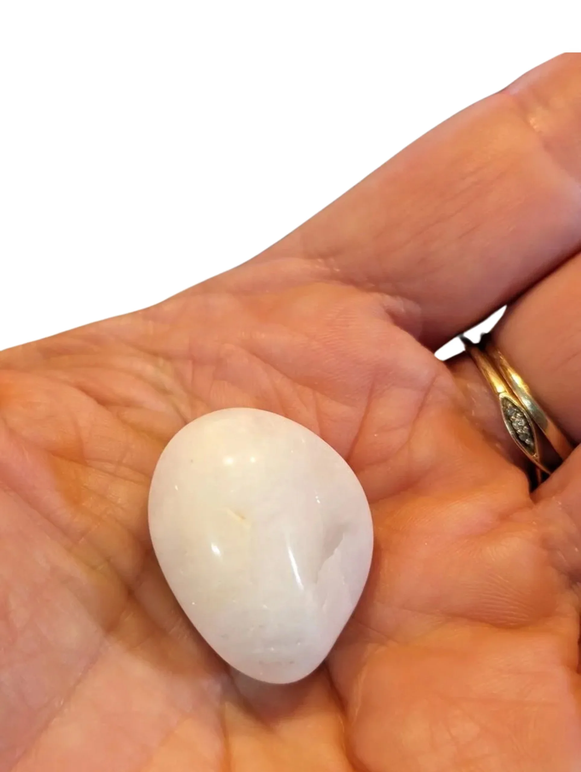 Studio-Project - 2026-01-05T151510.092.jpg