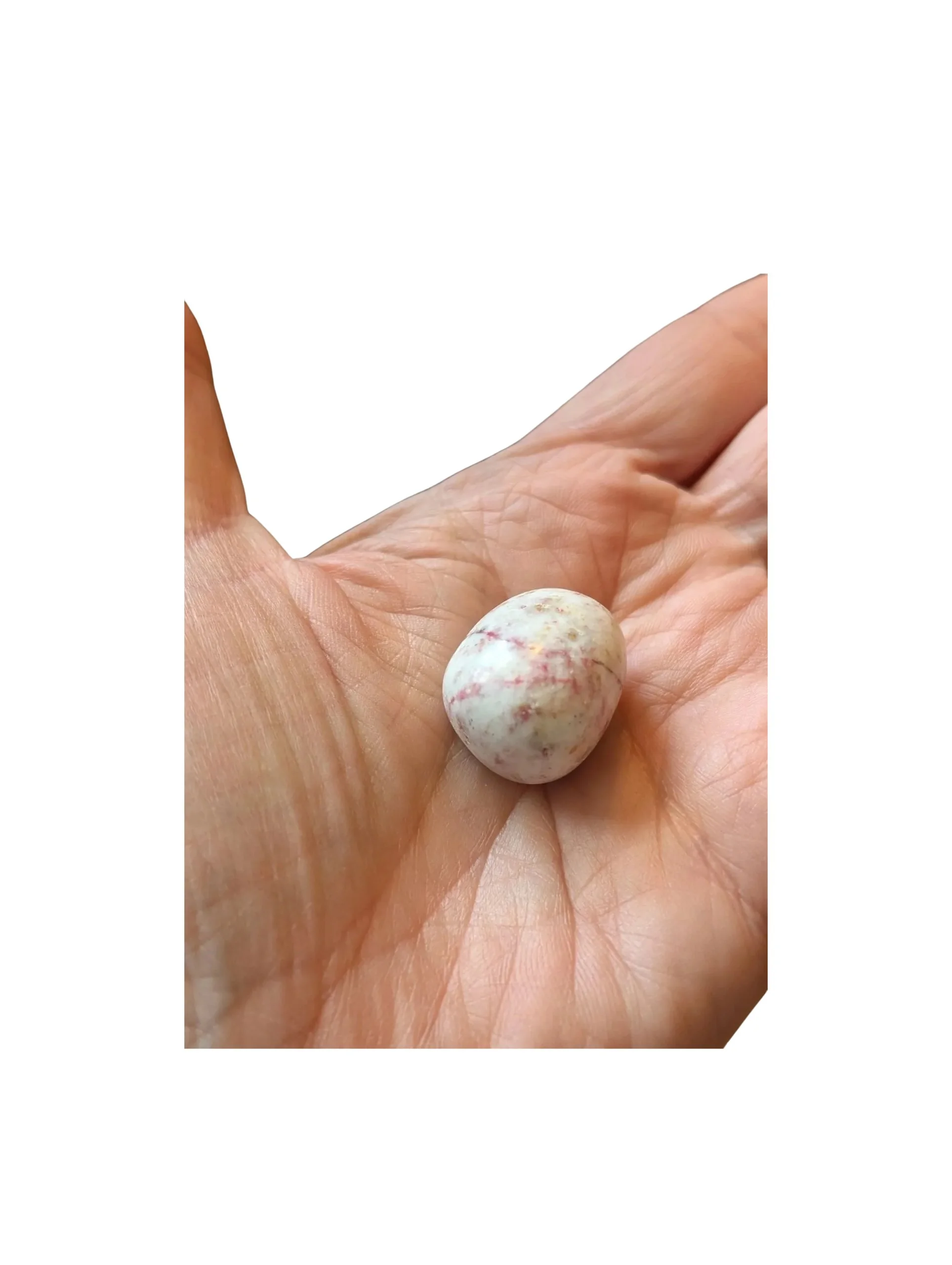 Studio-Project (99).jpg