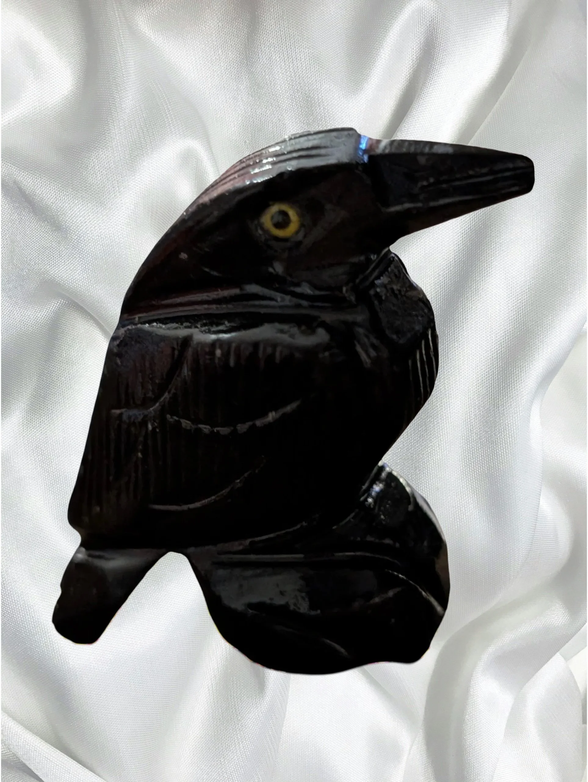 Studio-Project - 2026-02-13T143904.481.jpg