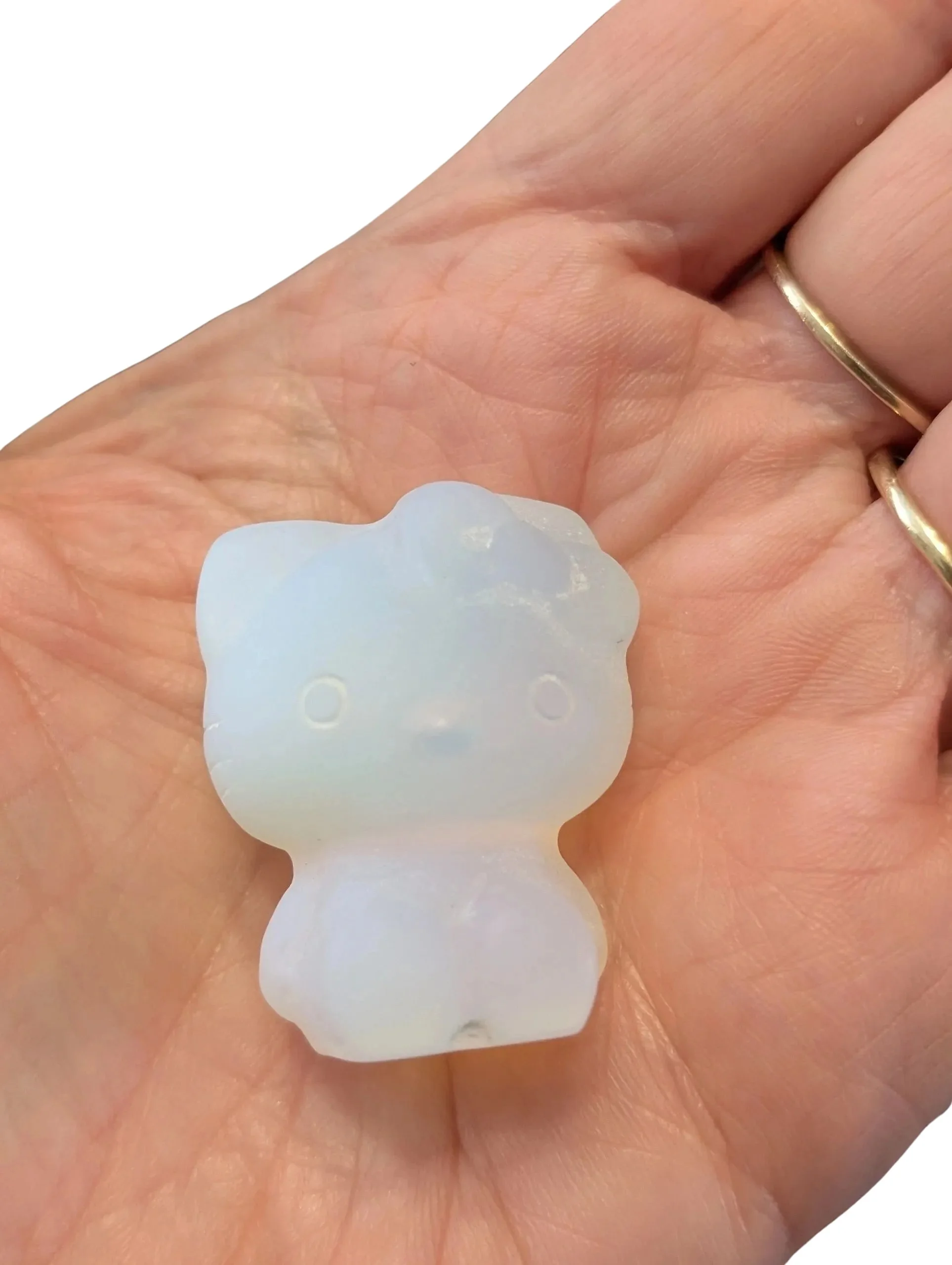 Studio-Project - 2026-02-07T144601.002.jpg