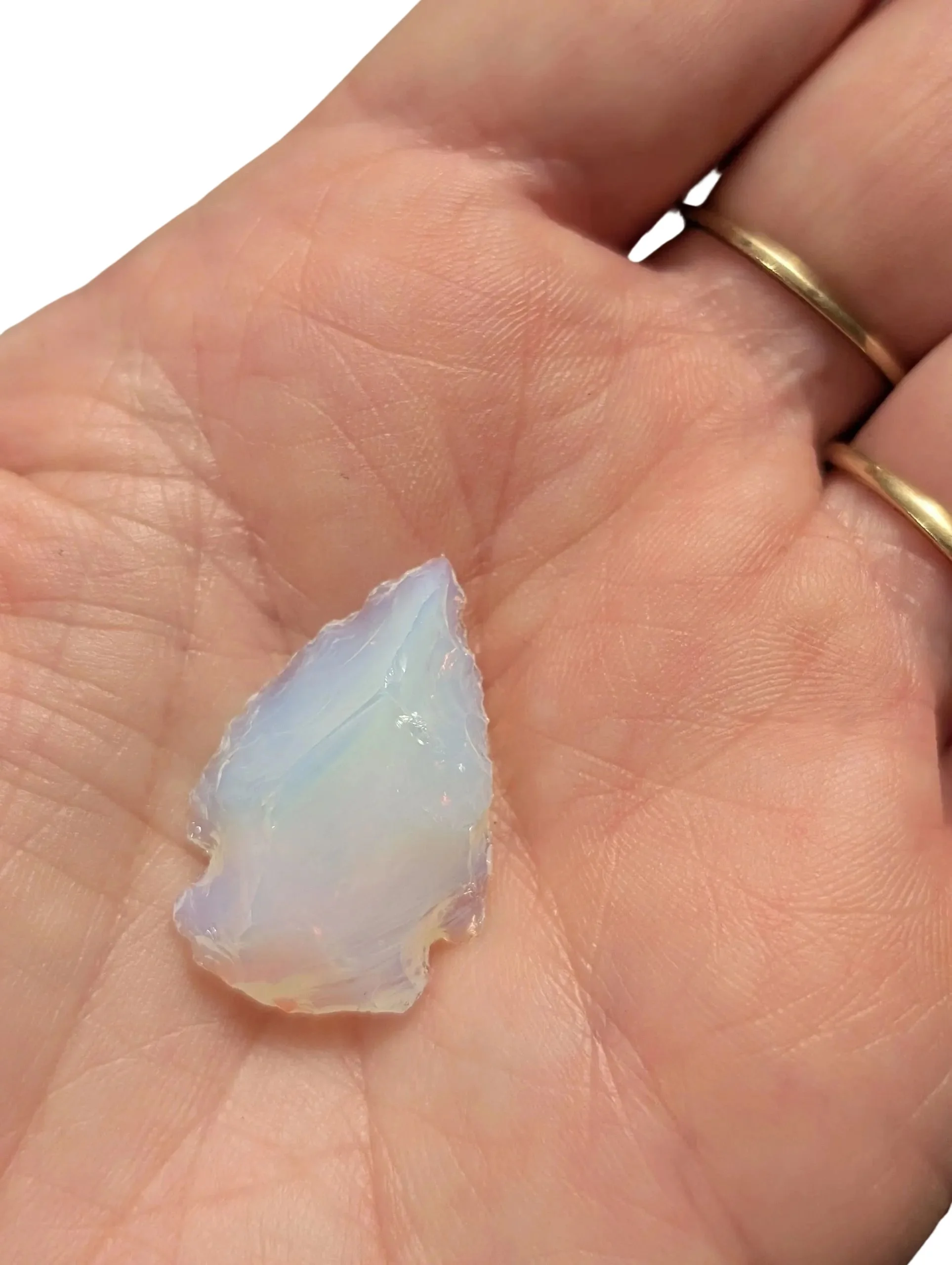 Studio-Project - 2026-01-13T053134.512.jpg