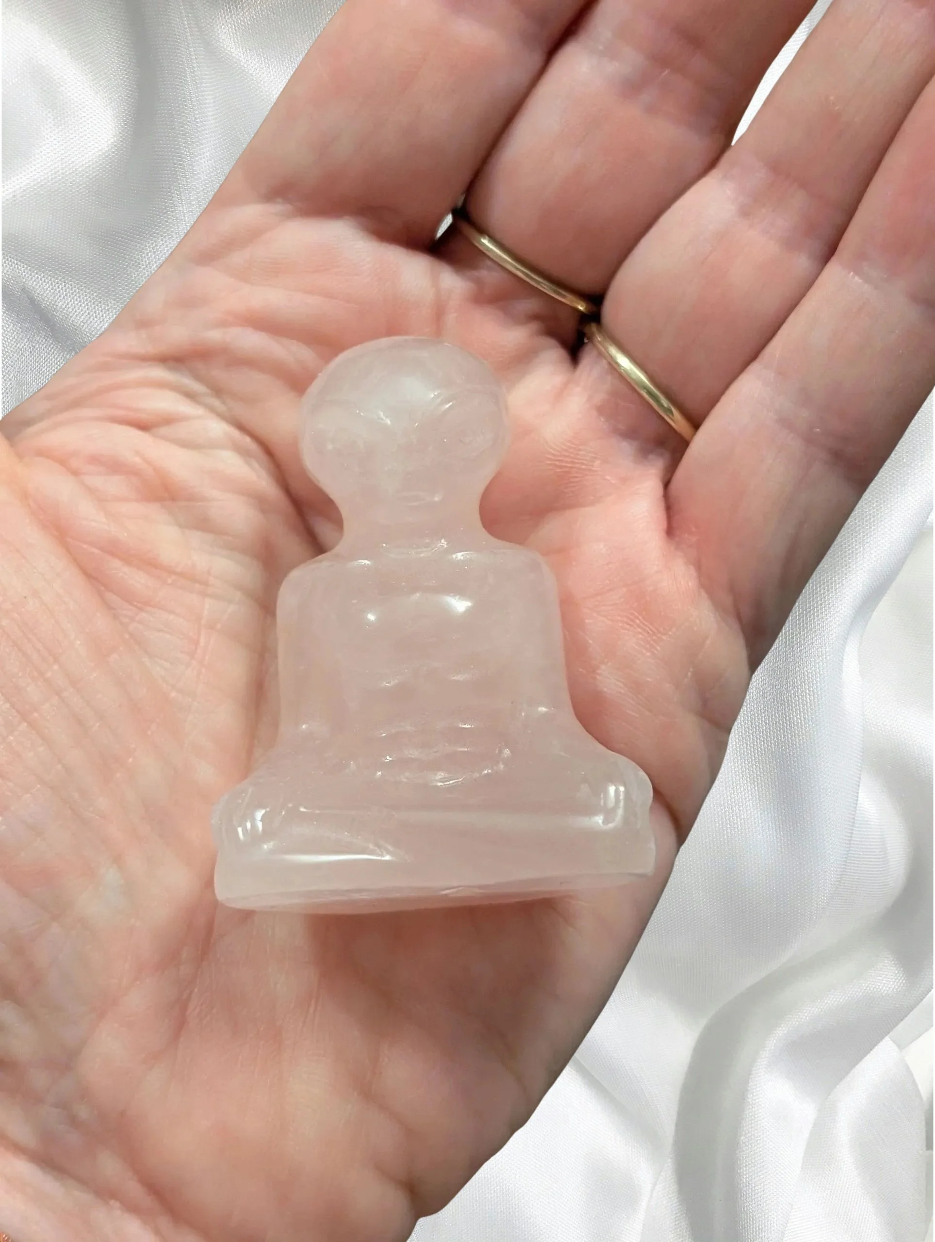 Studio-Project - 2026-02-14T100522.408.jpg