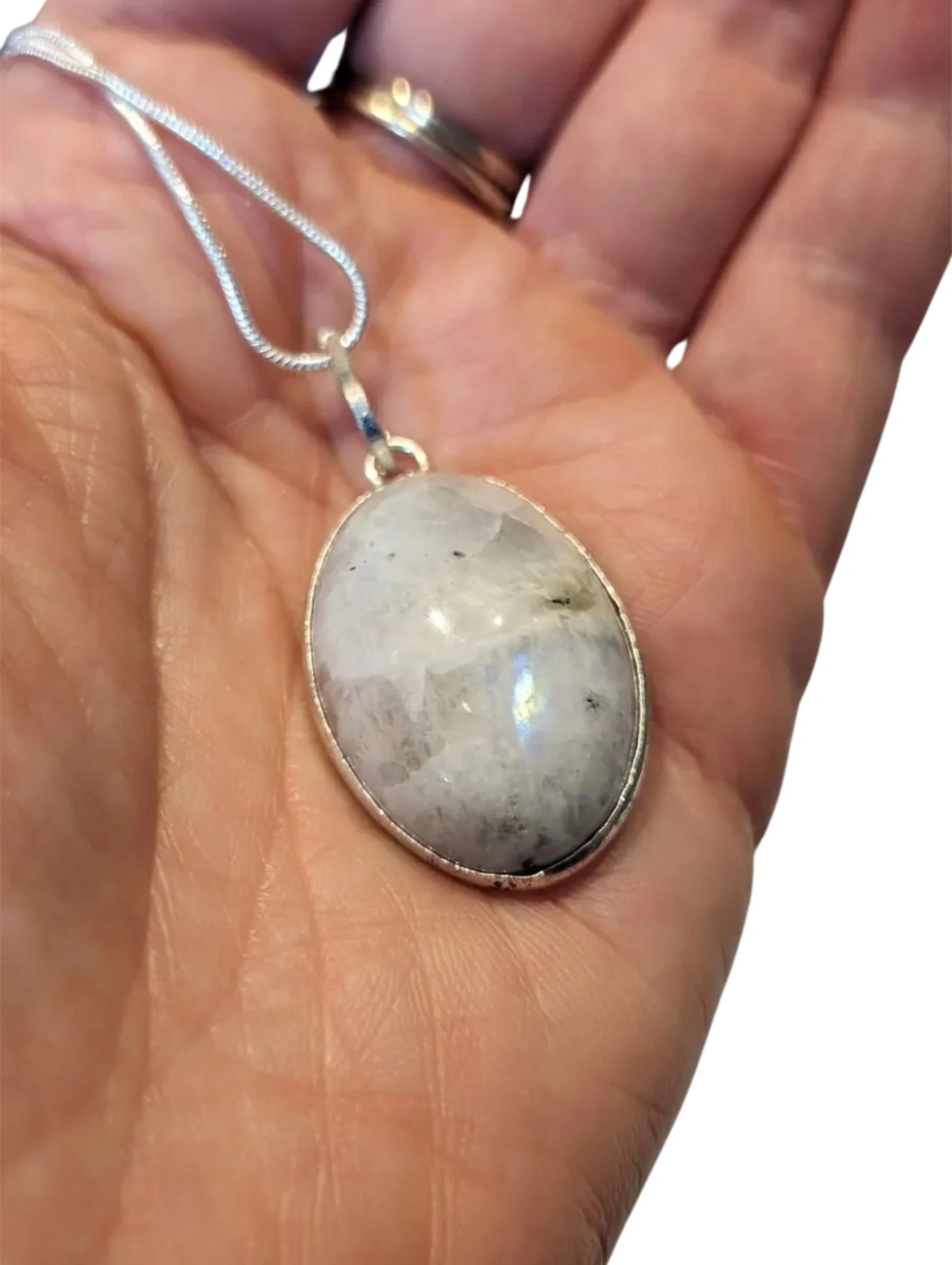 Studio-Project - 2026-01-20T142928.624.jpg