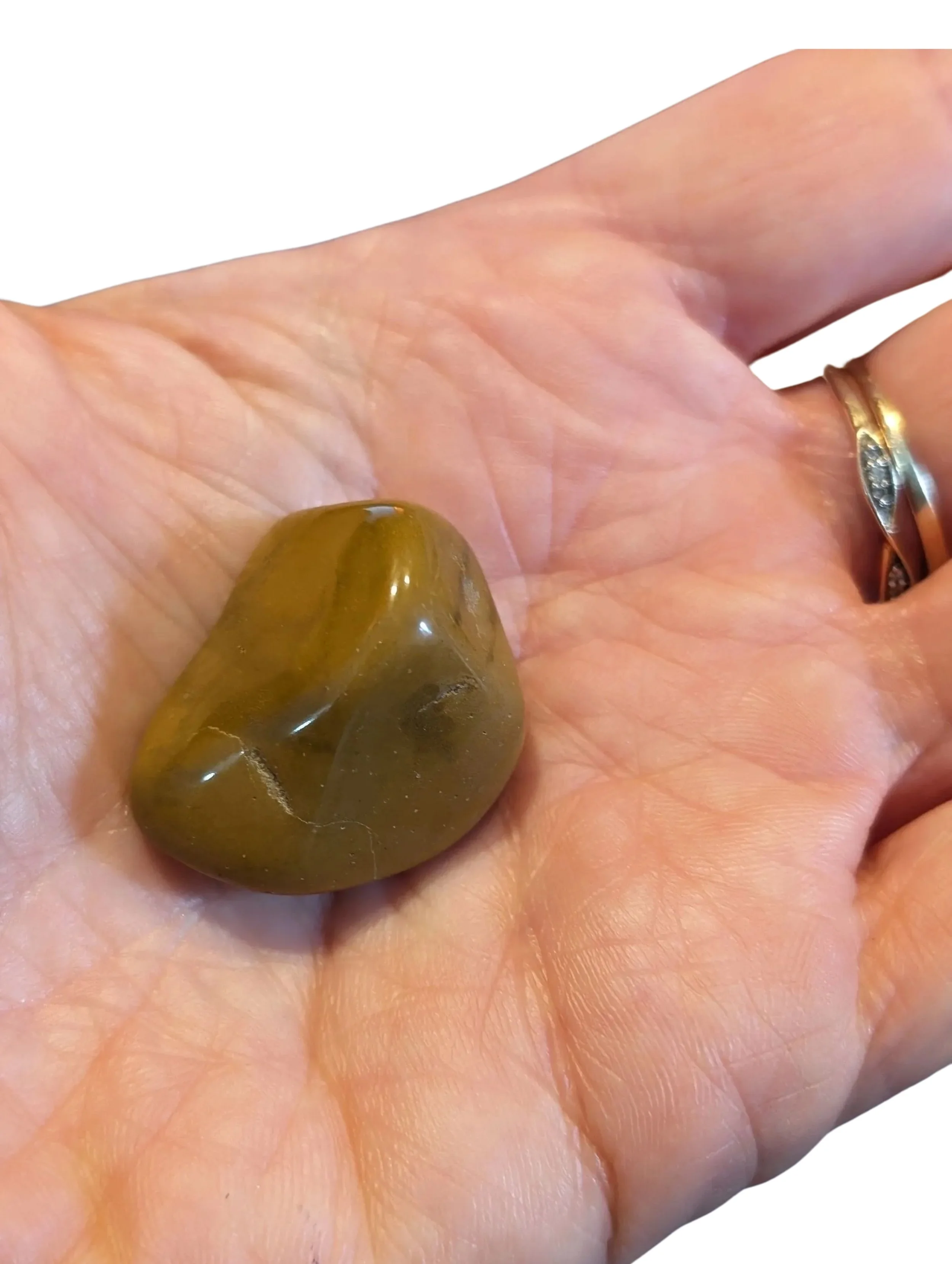 Studio-Project - 2026-01-05T161759.256.jpg