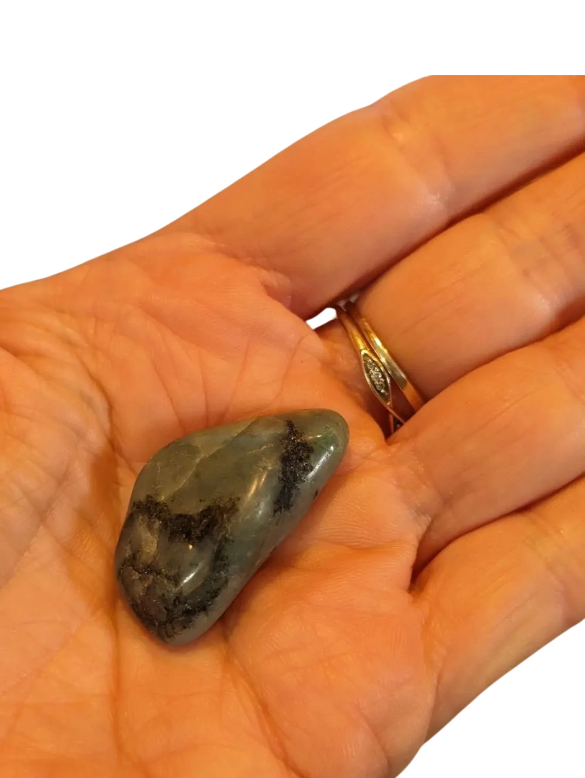 Studio-Project - 2026-01-05T153610.106.jpg