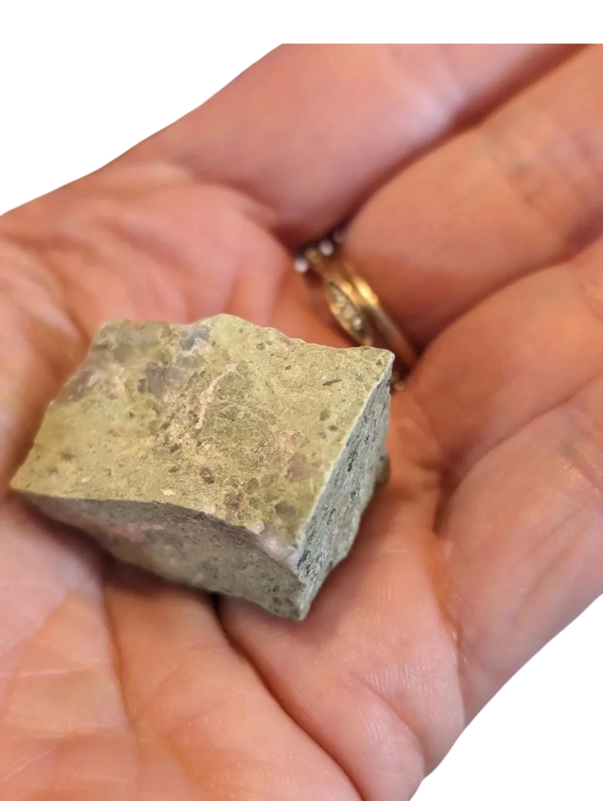 Studio-Project - 2025-12-10T105648.803.jpg