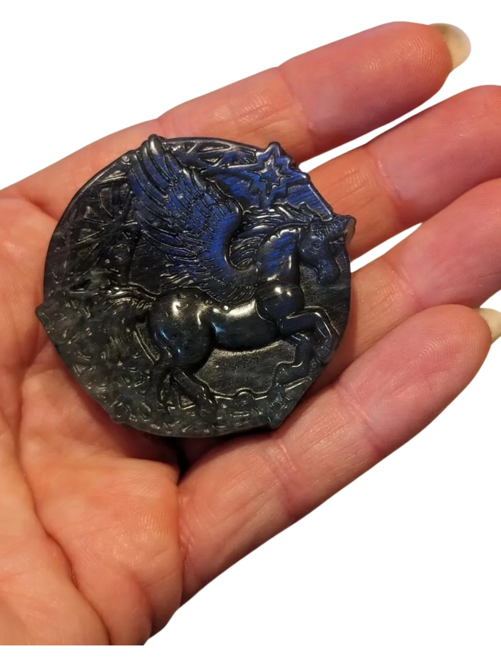 Studio-Project - 2026-01-12T154125.399.jpg