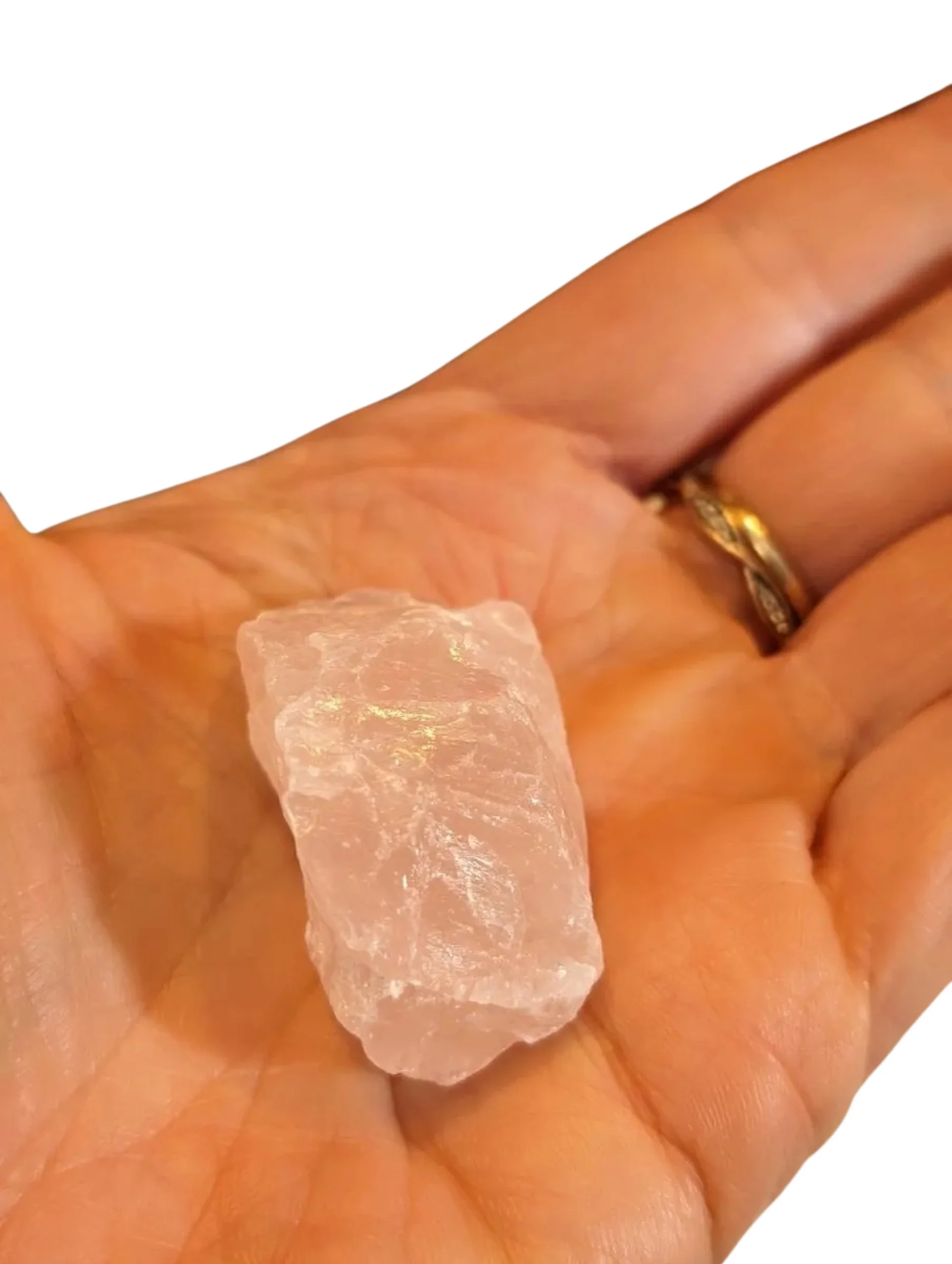 Studio-Project - 2025-12-10T103844.929.jpg