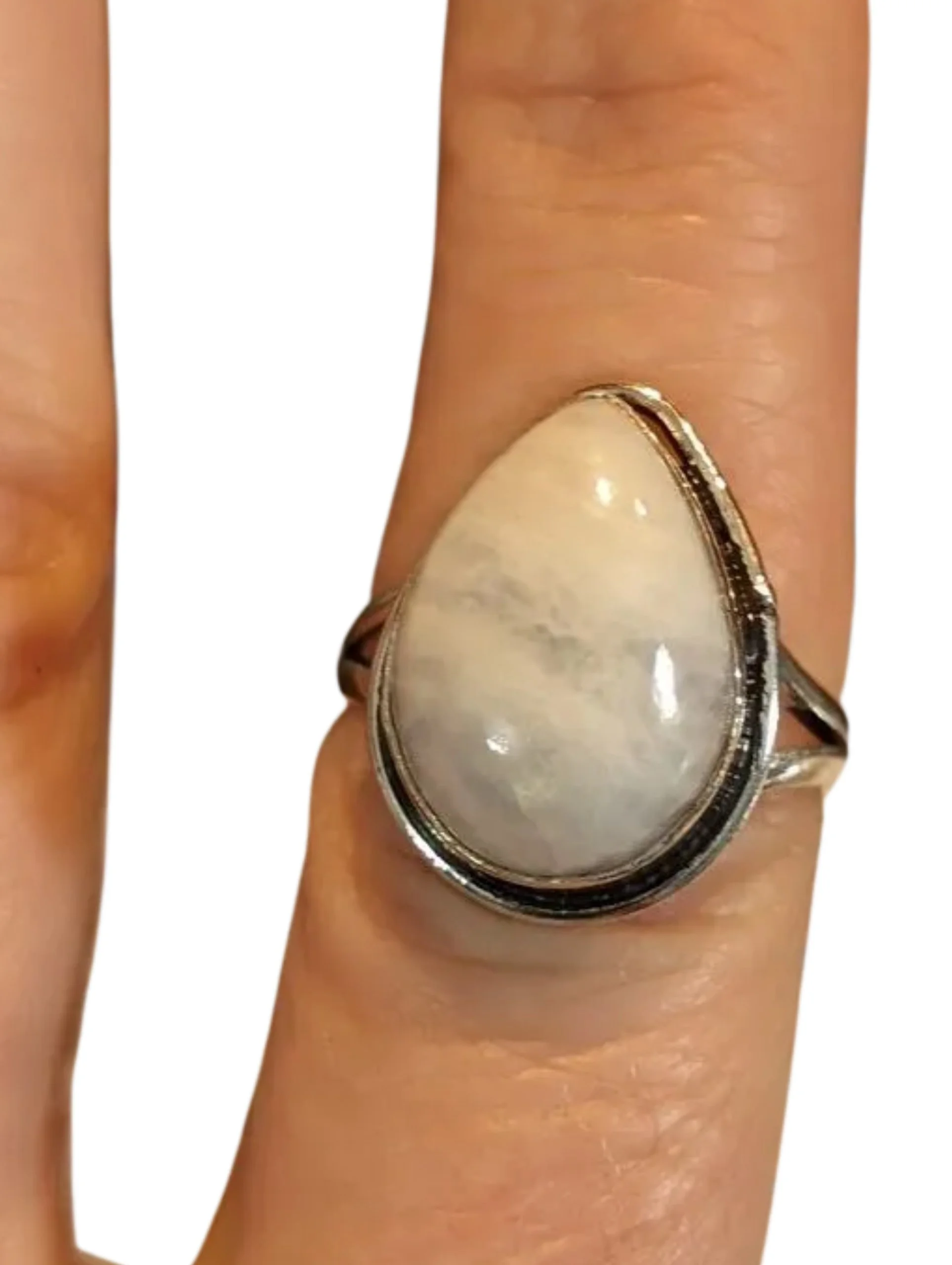 Studio-Project - 2026-02-01T161238.015.jpg