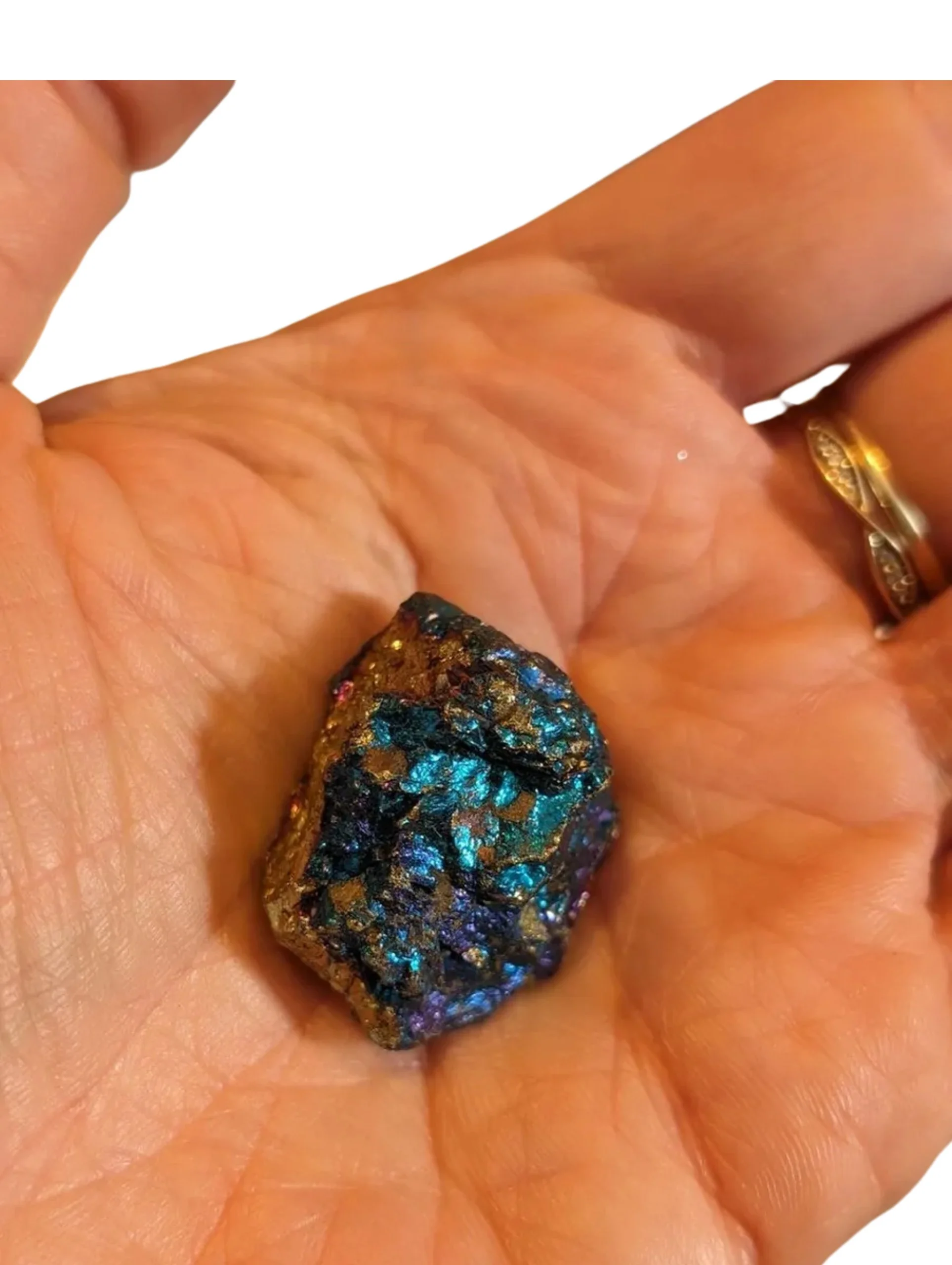 Studio-Project - 2025-12-07T131803.537.jpg