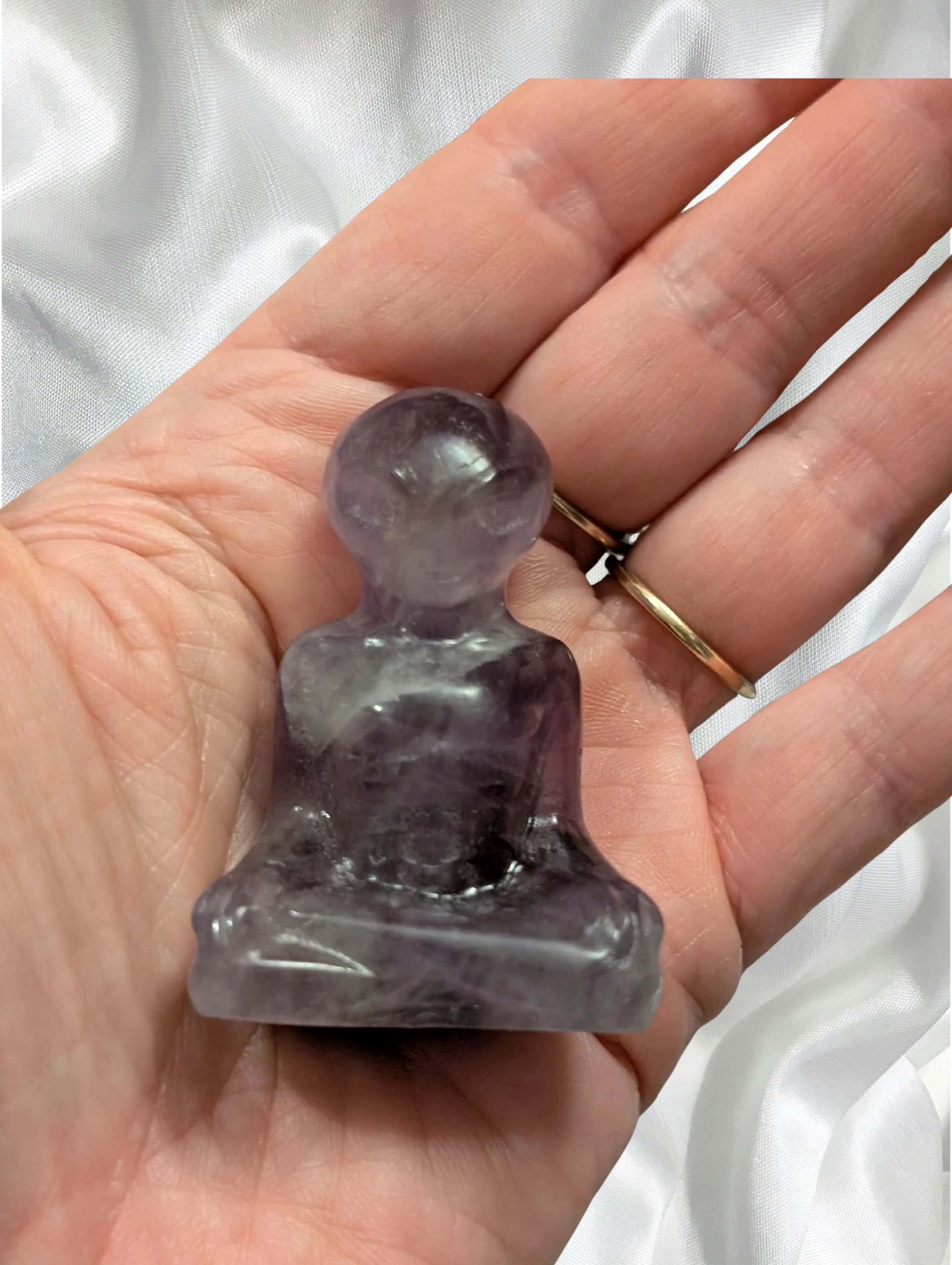 Studio-Project - 2026-02-14T100308.100.jpg