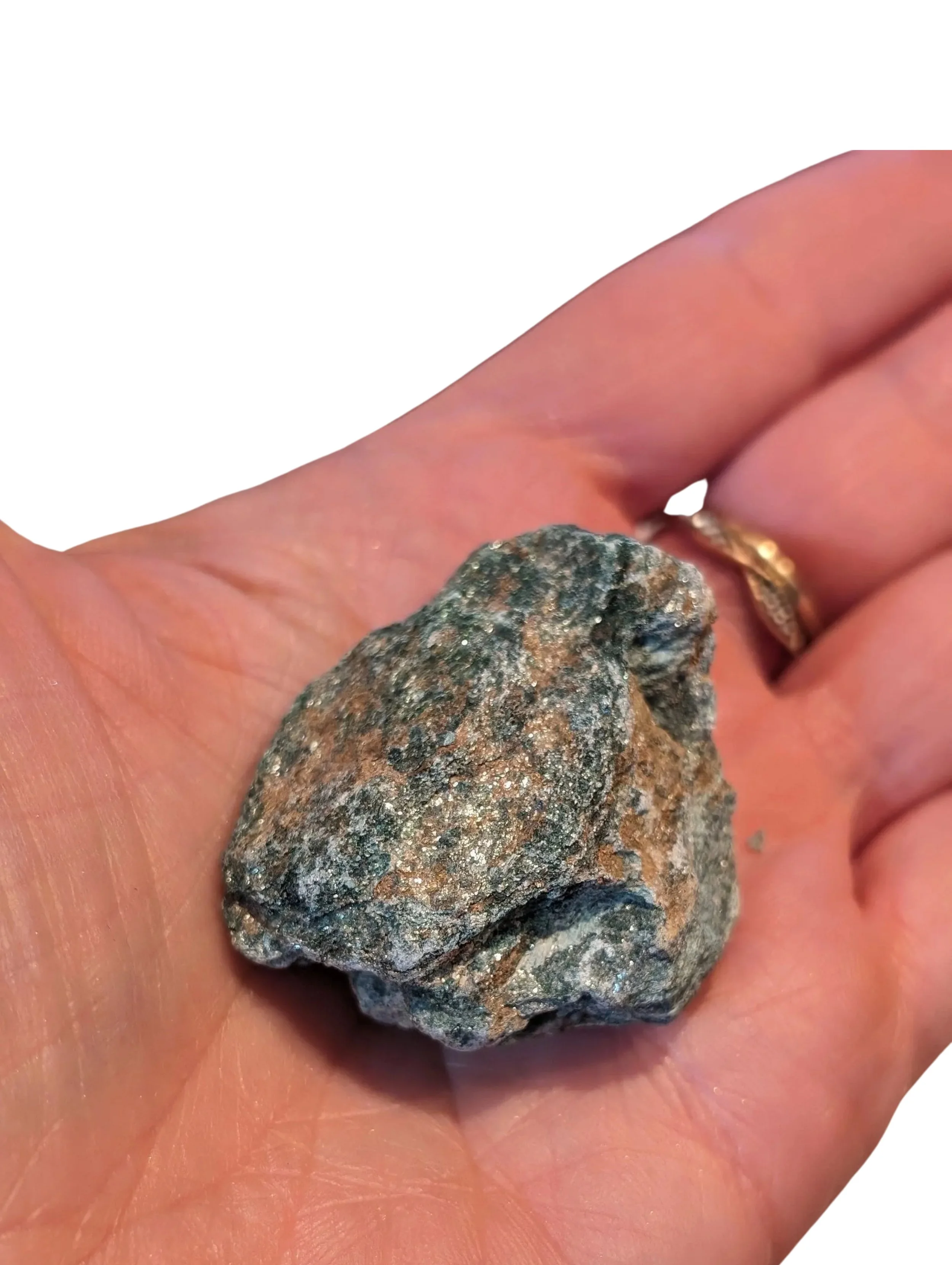 Studio-Project - 2026-01-06T075958.455.jpg