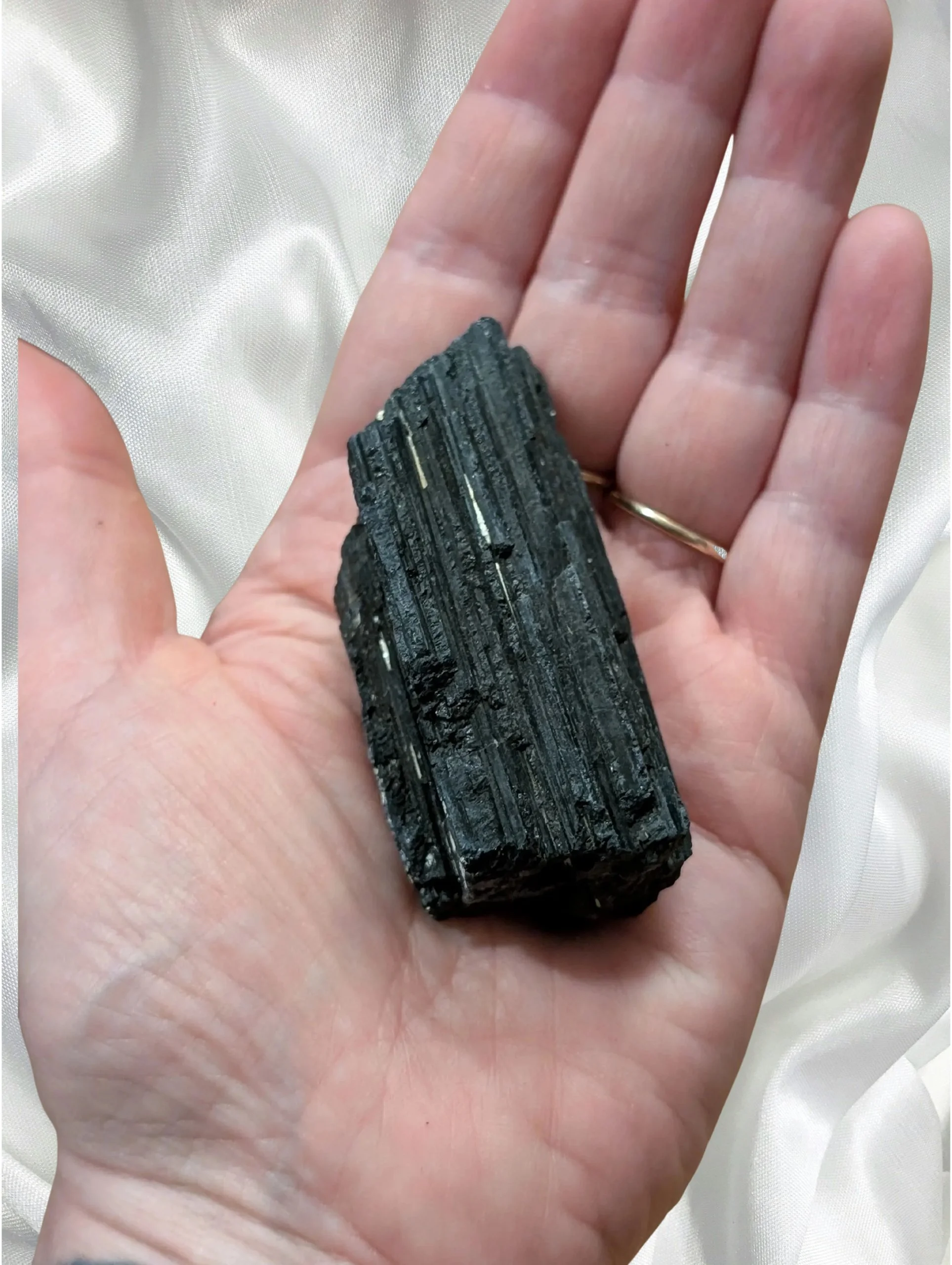 Studio-Project - 2026-02-19T044936.717.jpg