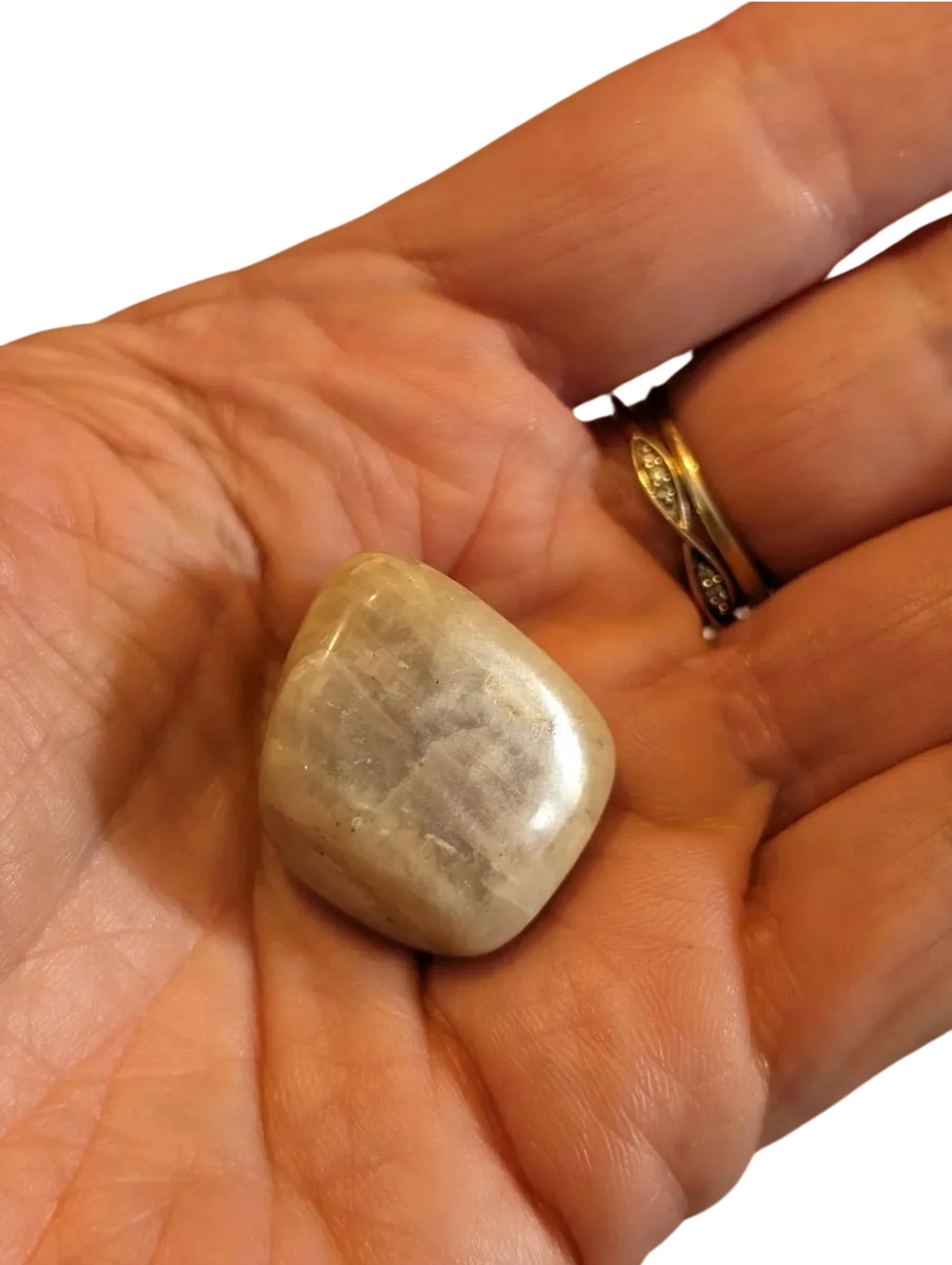 Studio-Project - 2025-12-07T130637.015.jpg