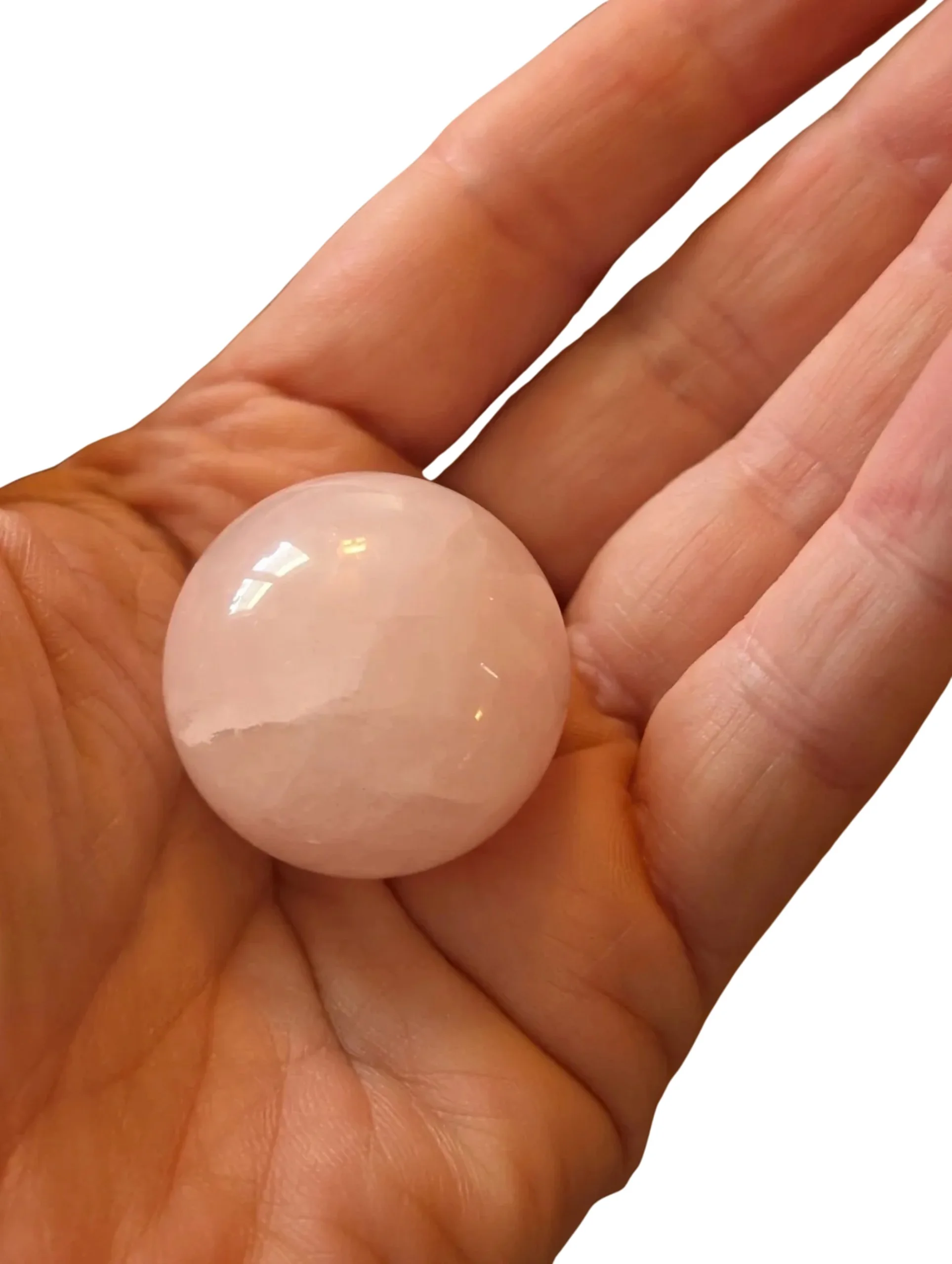 Studio-Project - 2026-01-12T131805.313.jpg