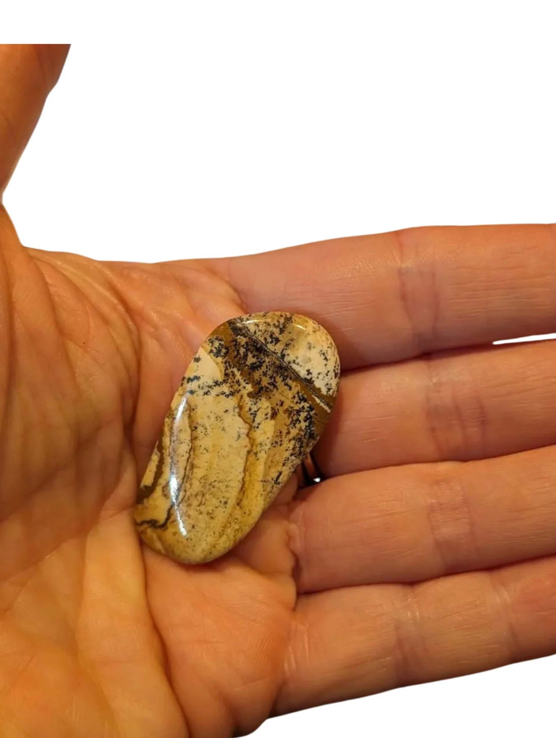 Studio-Project - 2026-01-05T151821.555.jpg