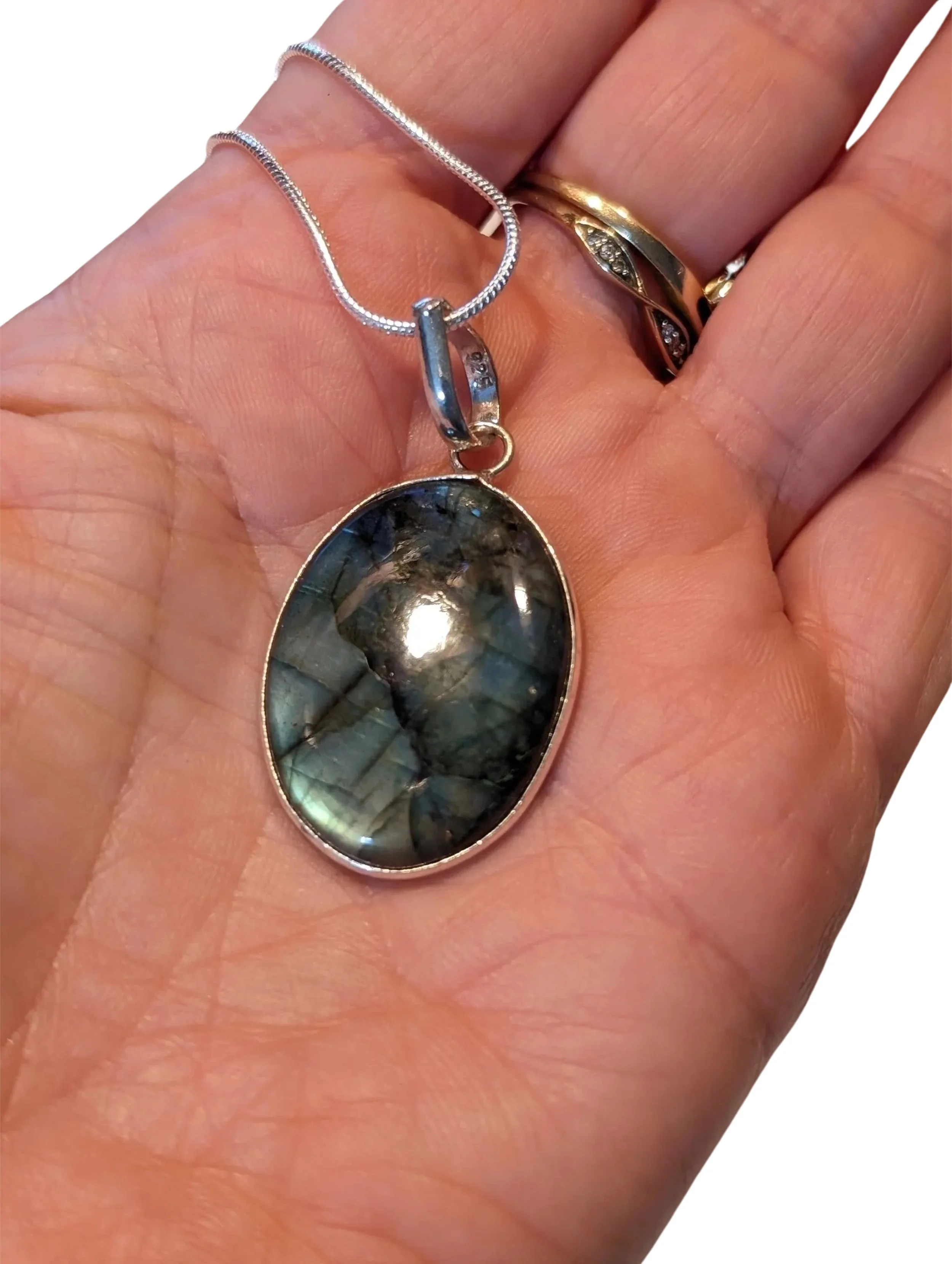 Studio-Project - 2026-01-20T144941.126.jpg