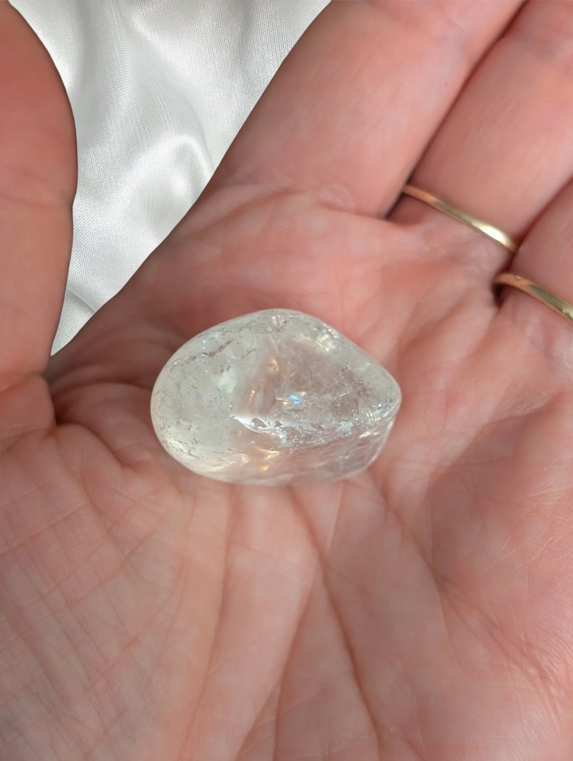 Studio-Project - 2026-02-13T151452.568.jpg