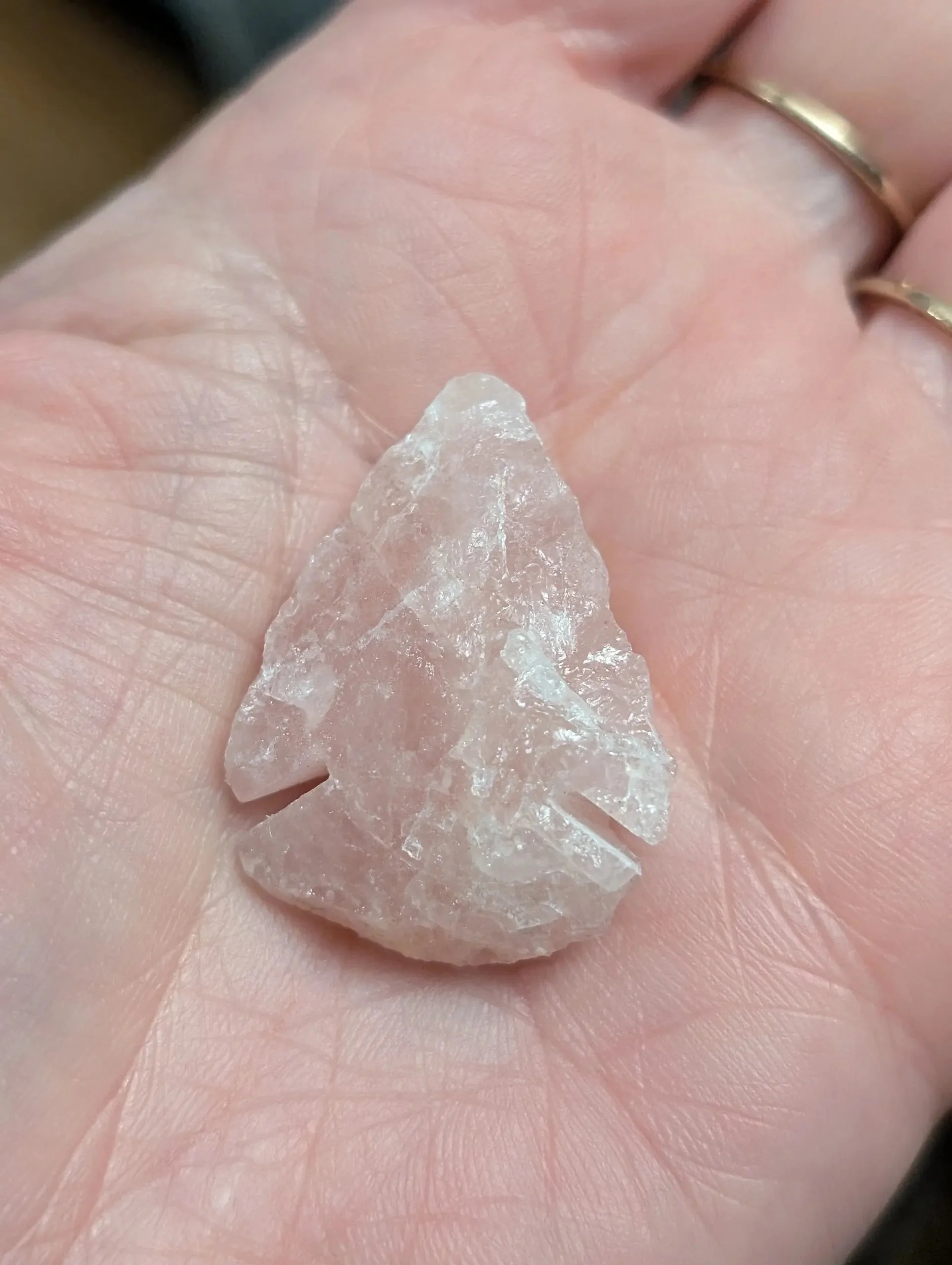 Studio-Project - 2026-01-13T055846.993.jpg