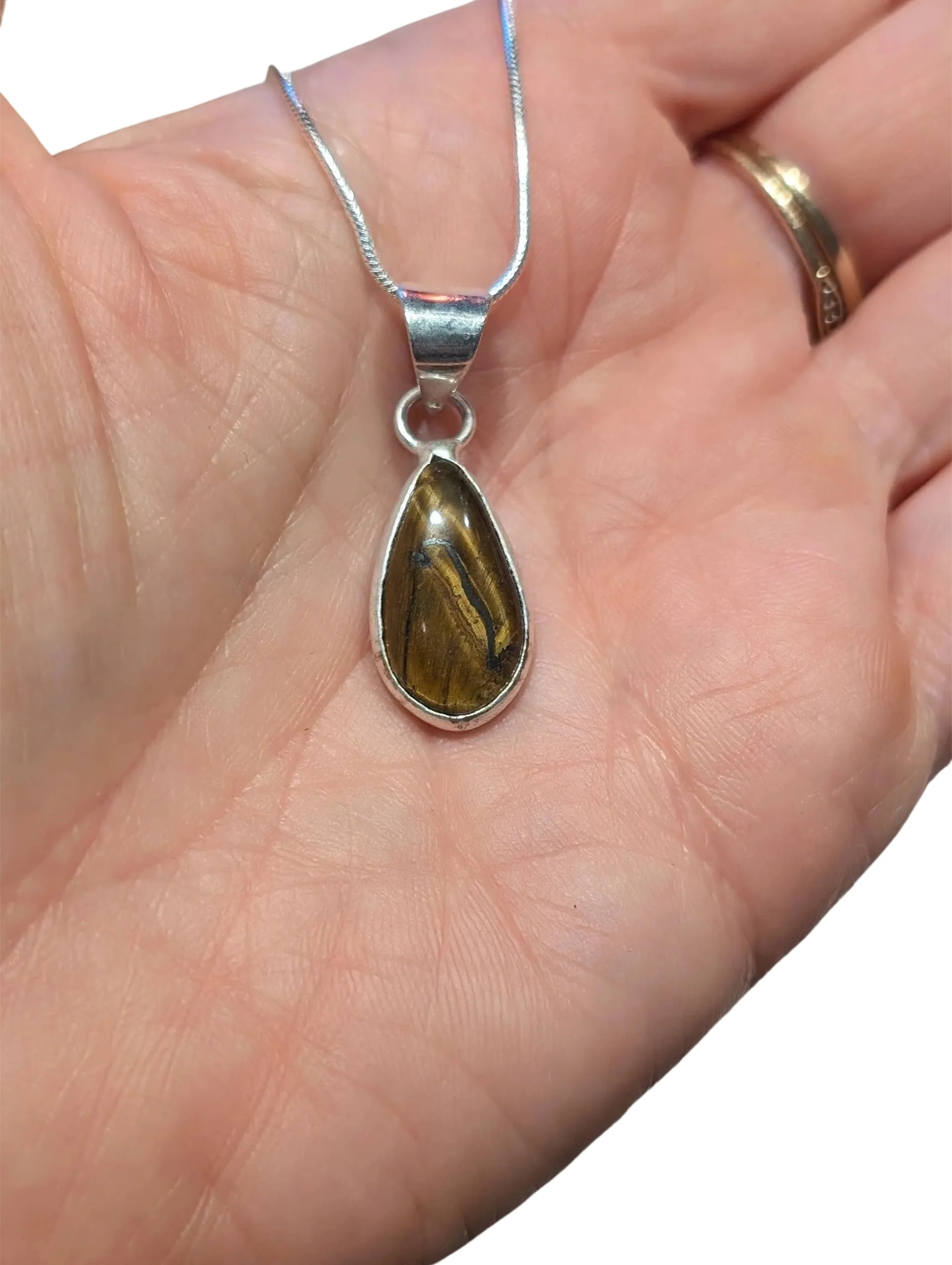 Studio-Project - 2026-01-19T123349.020.jpg