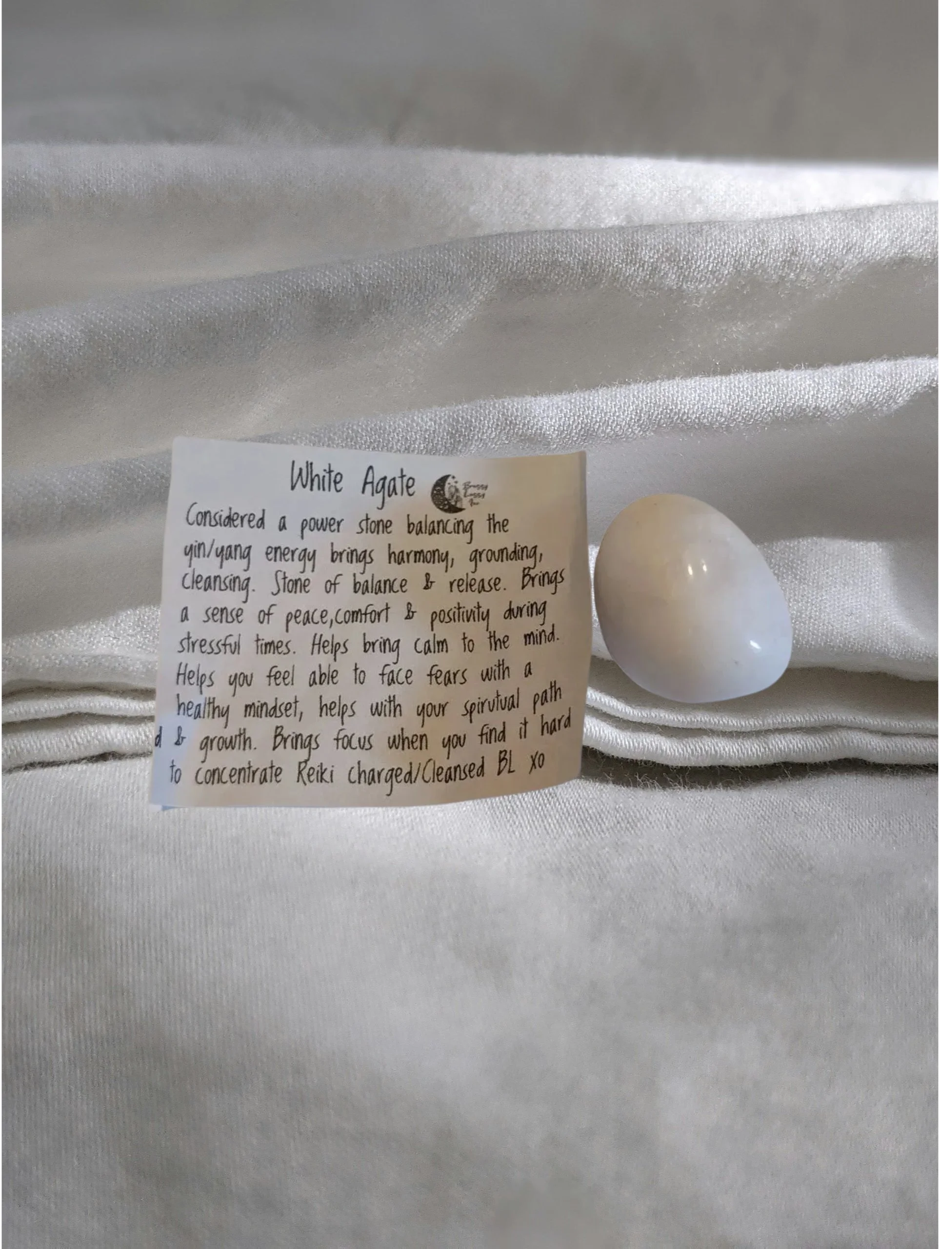 Studio-Project - 2026-01-05T151440.786.jpg