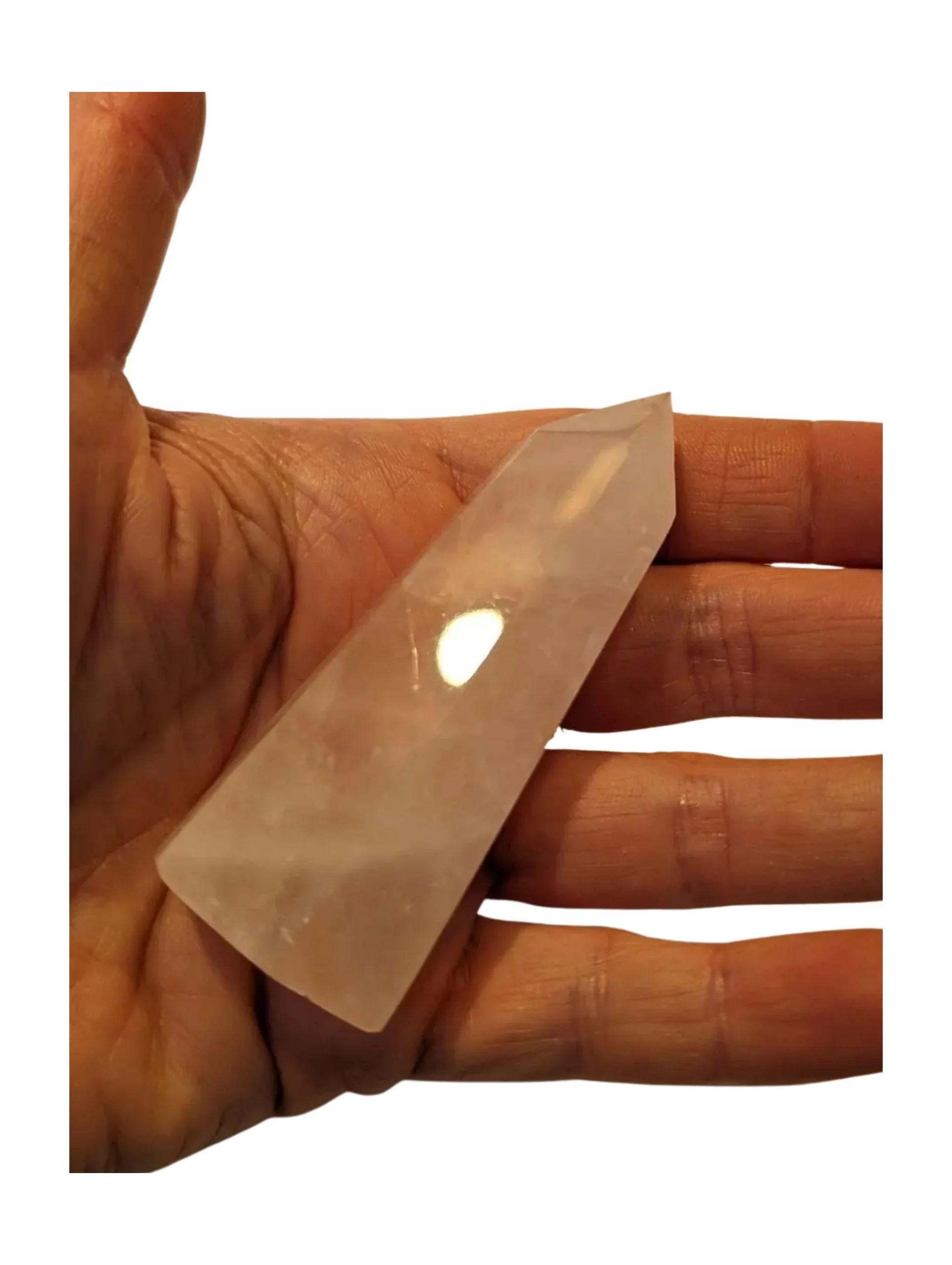 Studio-Project - 2026-01-06T093234.110.jpg