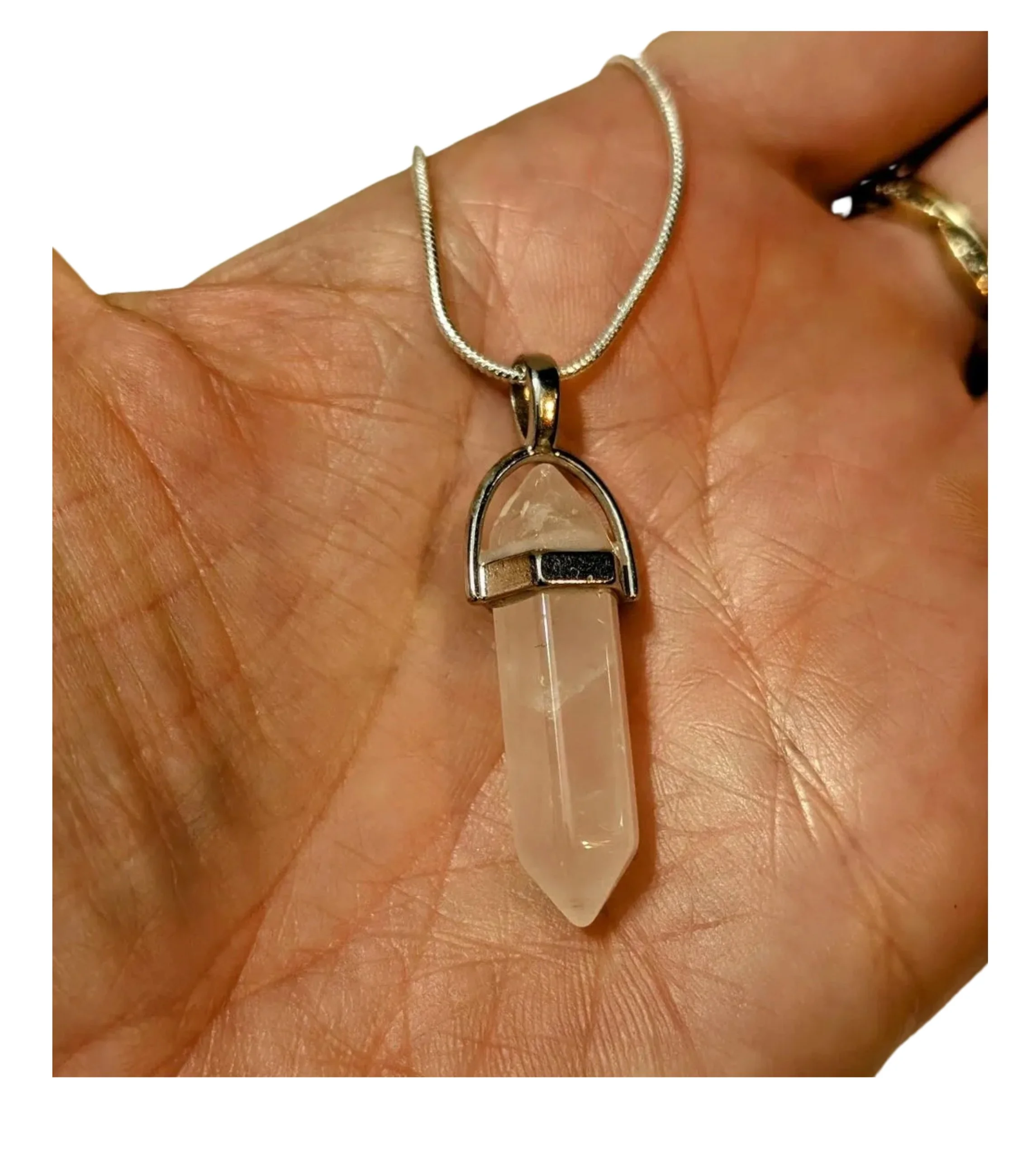 Studio-Project - 2026-01-31T053449.193.jpg