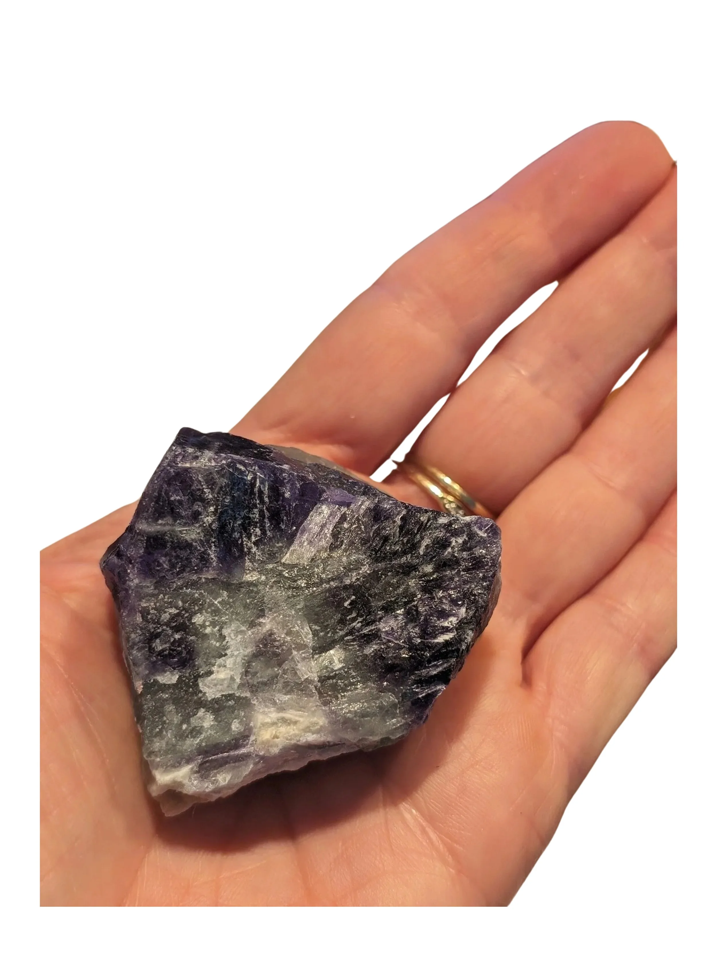 Studio-Project - 2026-01-06T085403.269.jpg