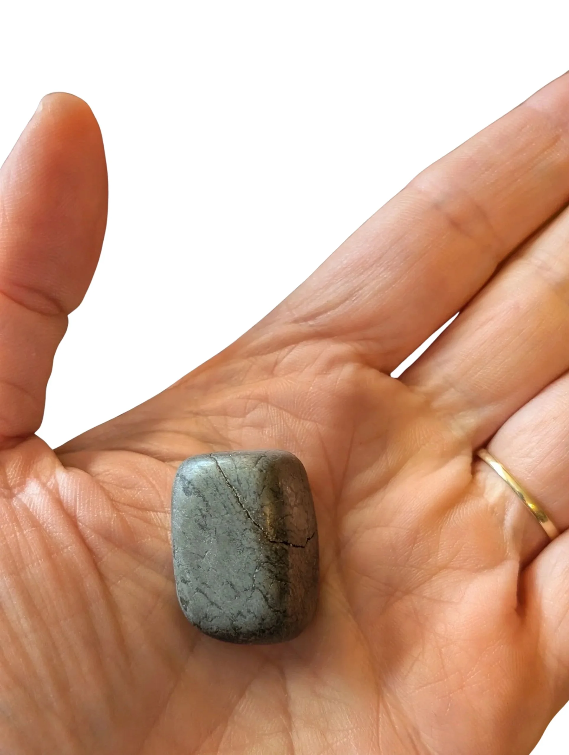 Studio-Project - 2025-12-07T115927.163.jpg