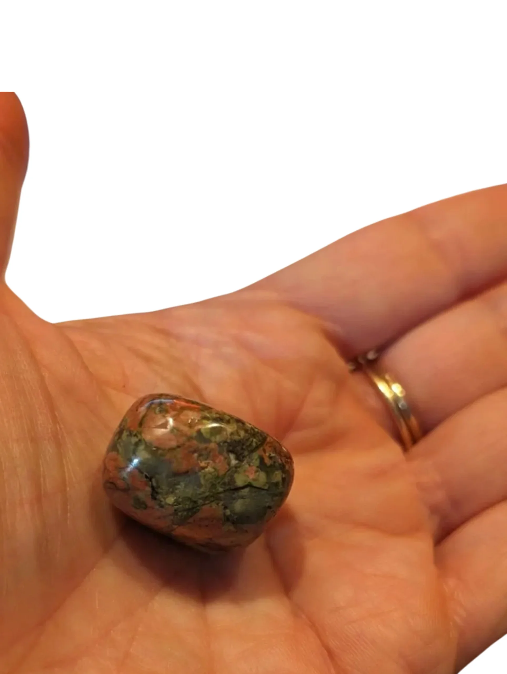 Studio-Project - 2026-01-05T164201.145.jpg