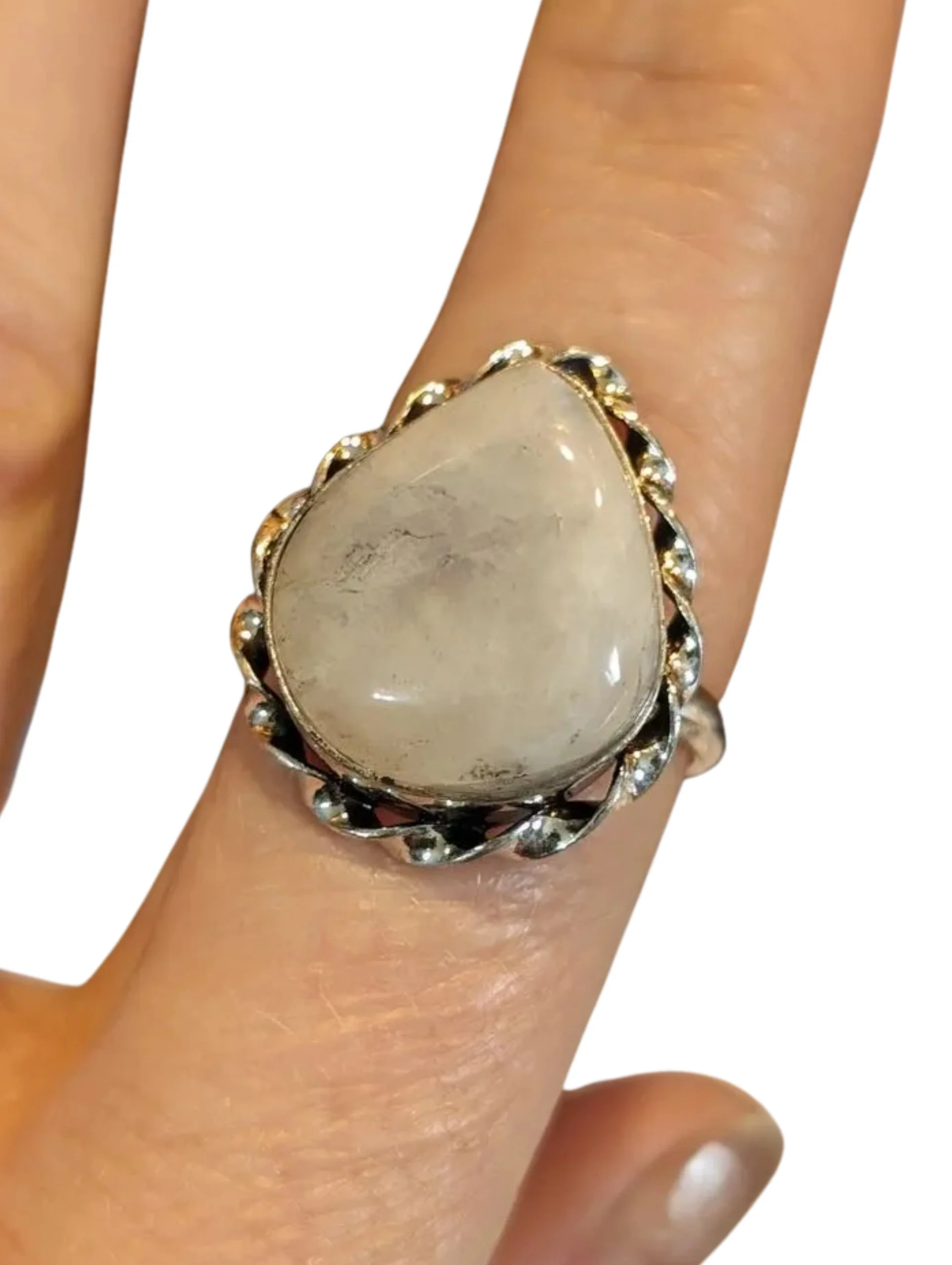 Studio-Project - 2026-02-01T160740.590.jpg