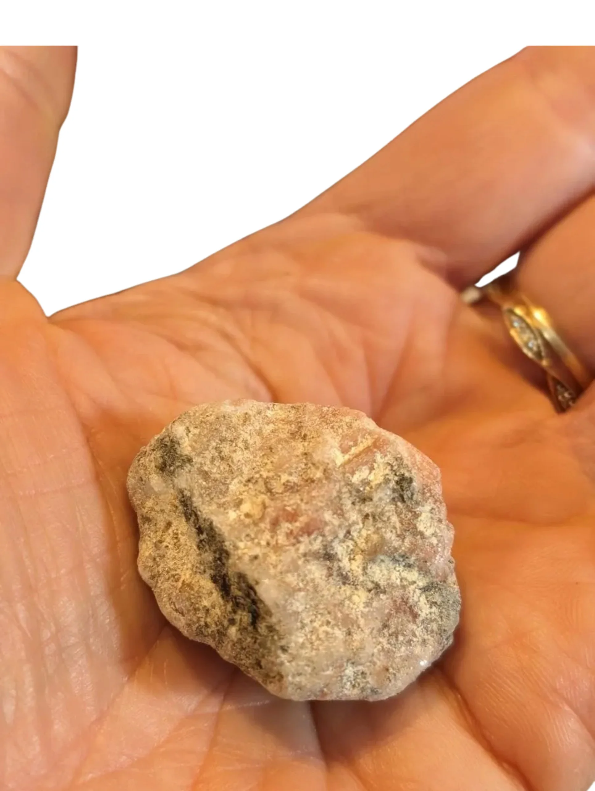 Studio-Project - 2025-12-10T110004.832.jpg