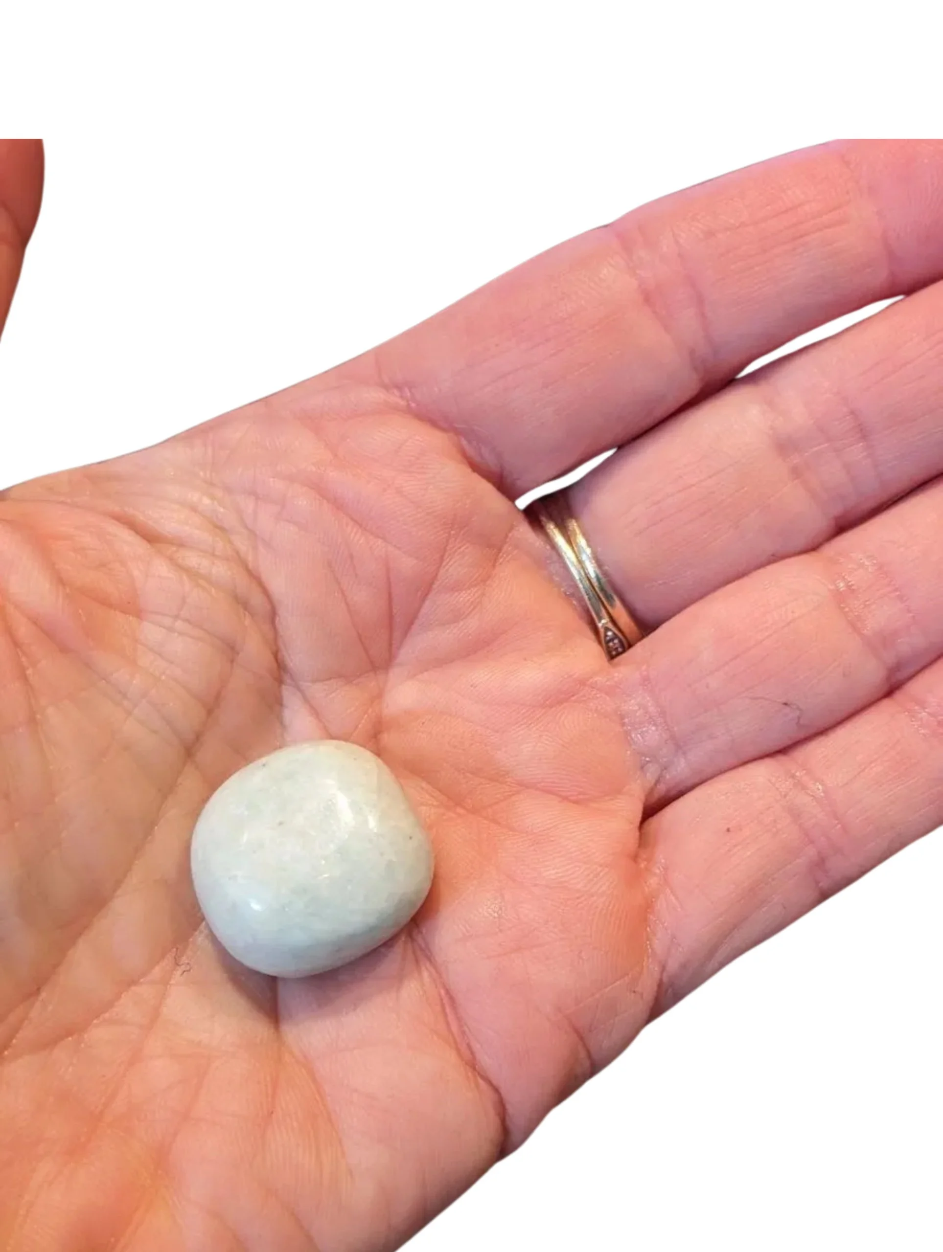 Studio-Project - 2026-01-05T154039.387.jpg