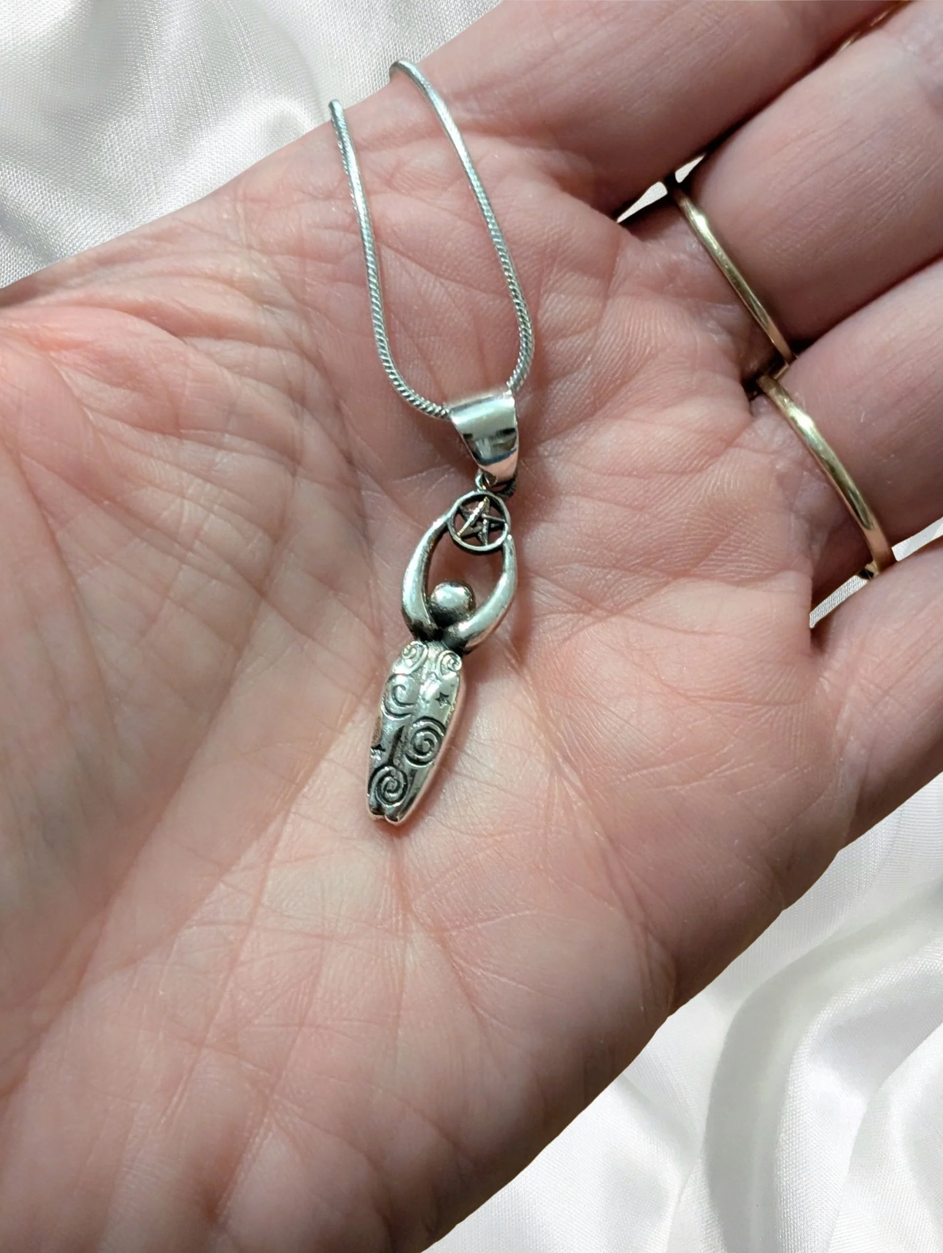 Studio-Project - 2026-02-21T133534.813.jpg