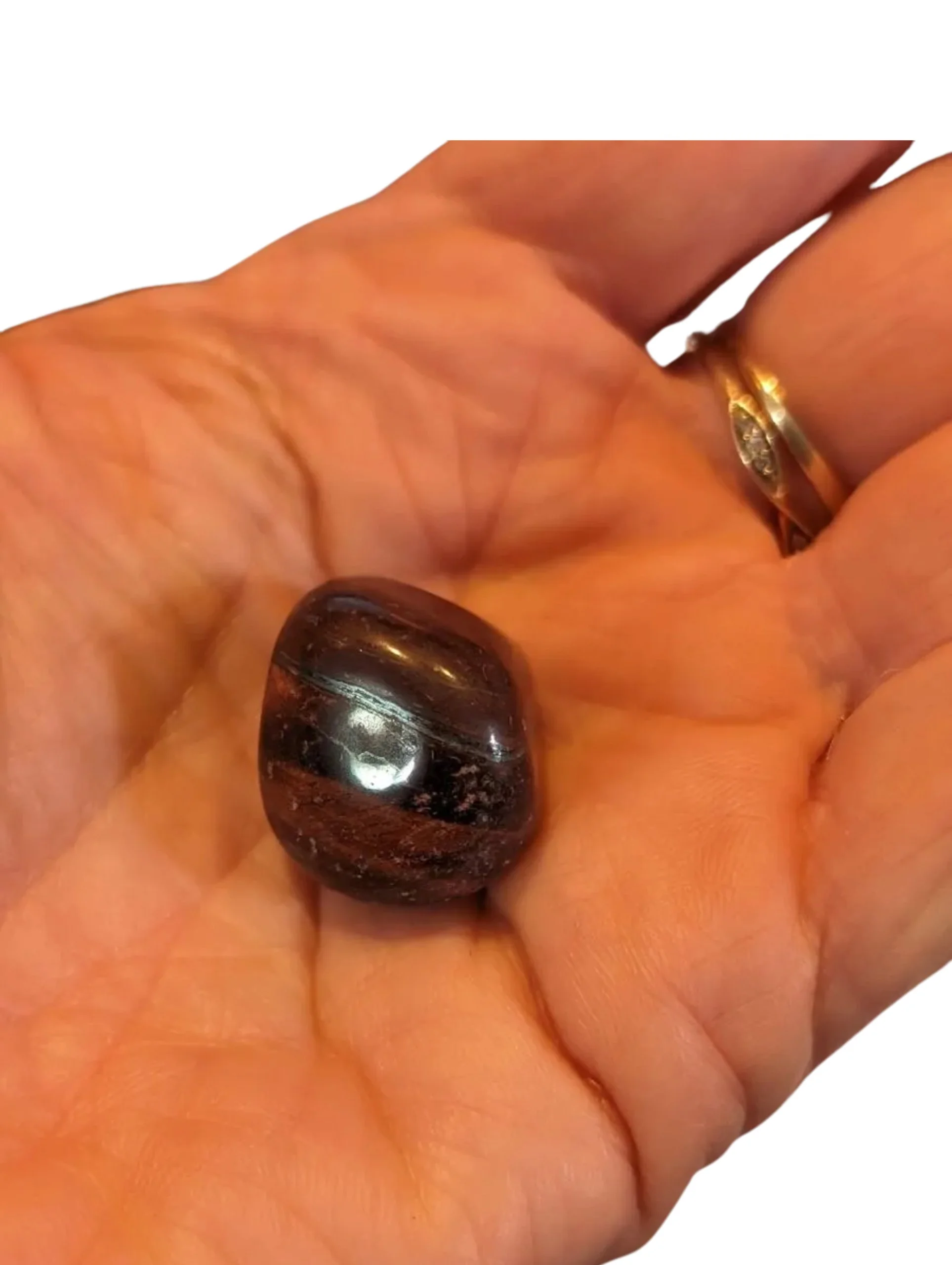 Studio-Project - 2026-01-05T150953.090.jpg