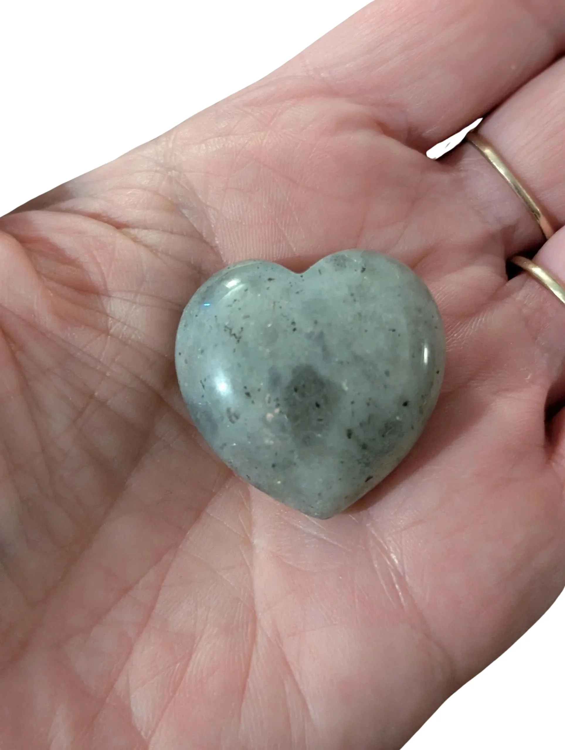 Studio-Project - 2026-02-07T150510.521.jpg