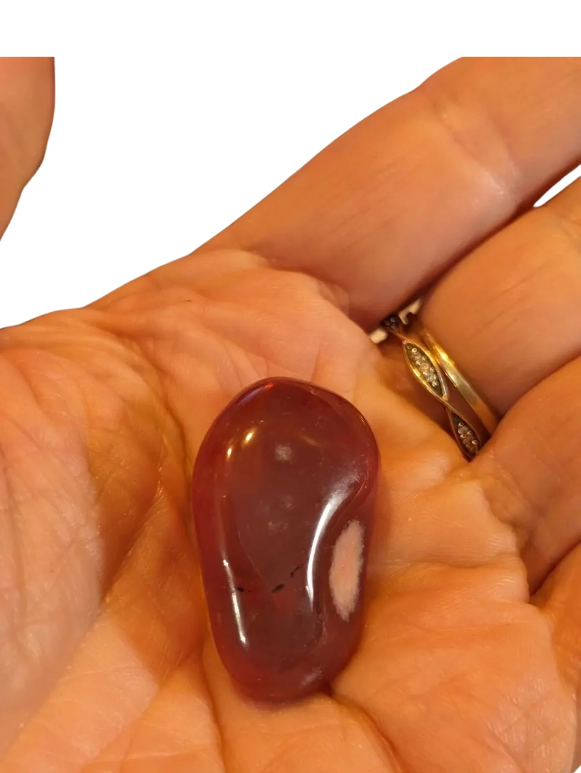 Studio-Project - 2025-12-10T111011.470.jpg